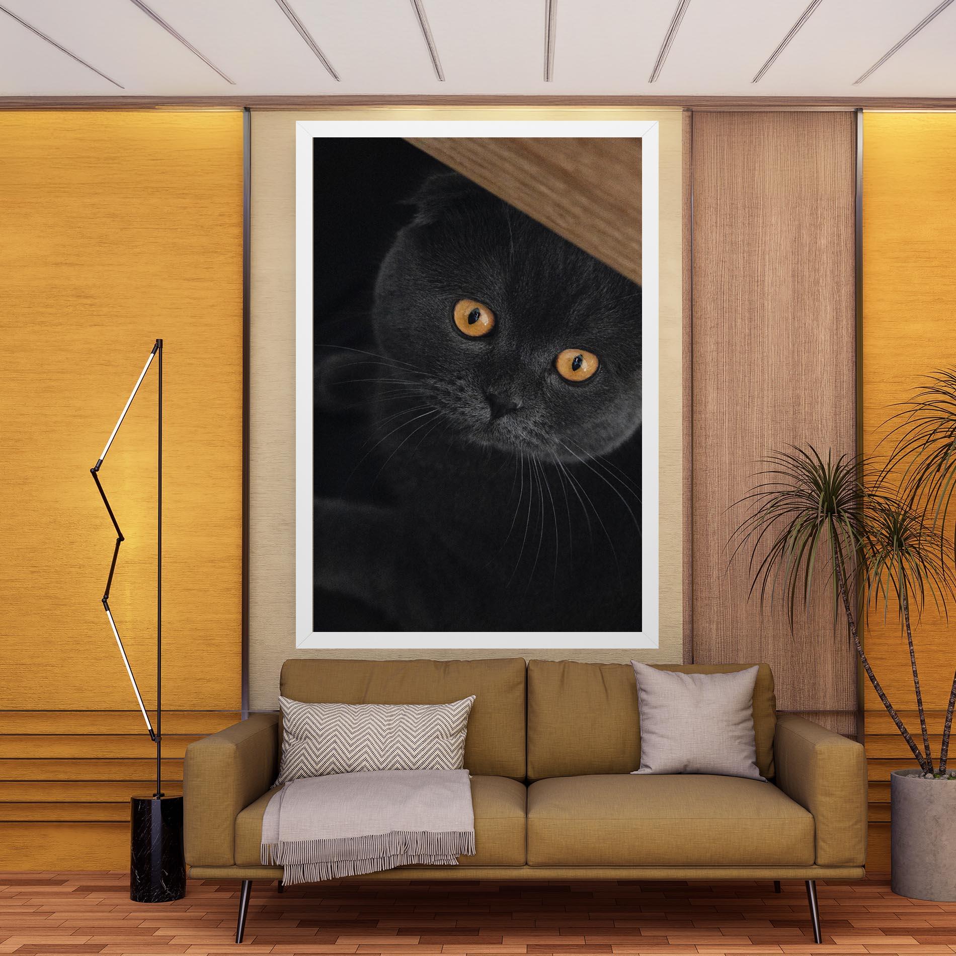 Vászonkép Grey Cat With Orange Eyes mockup 9