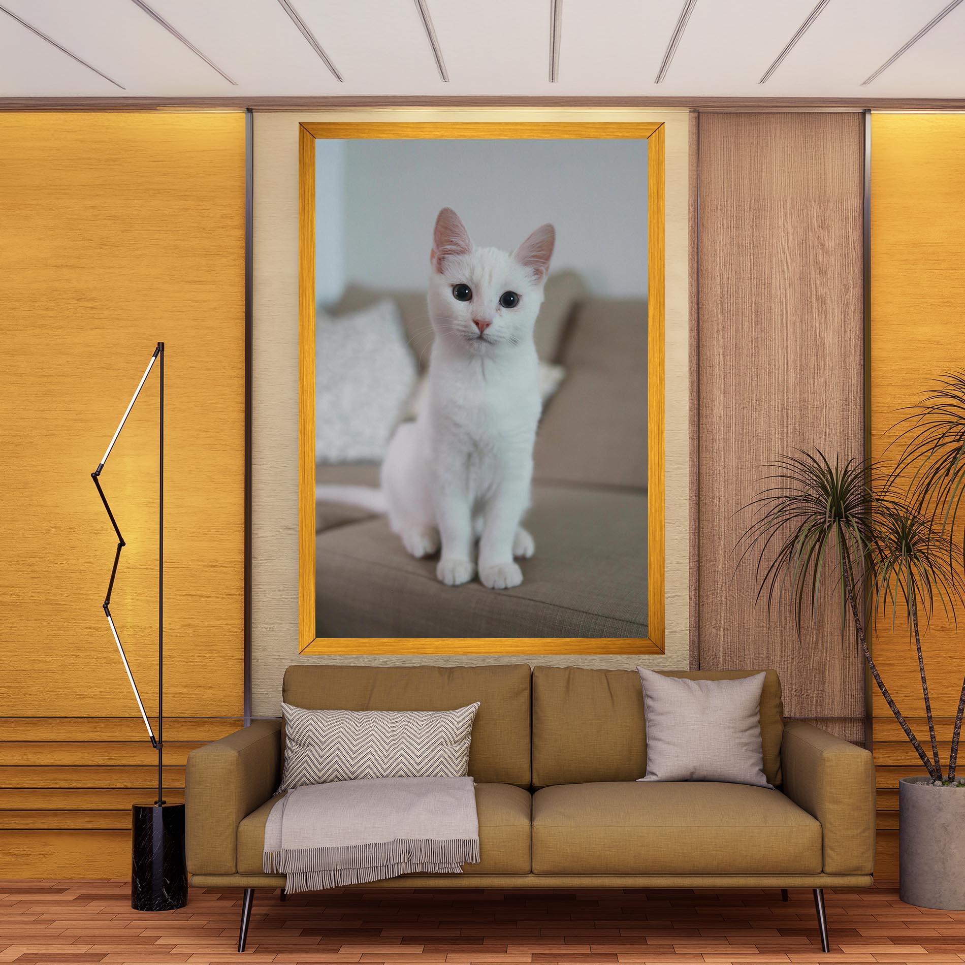 Vászonkép Beautiful White Cat mockup 9