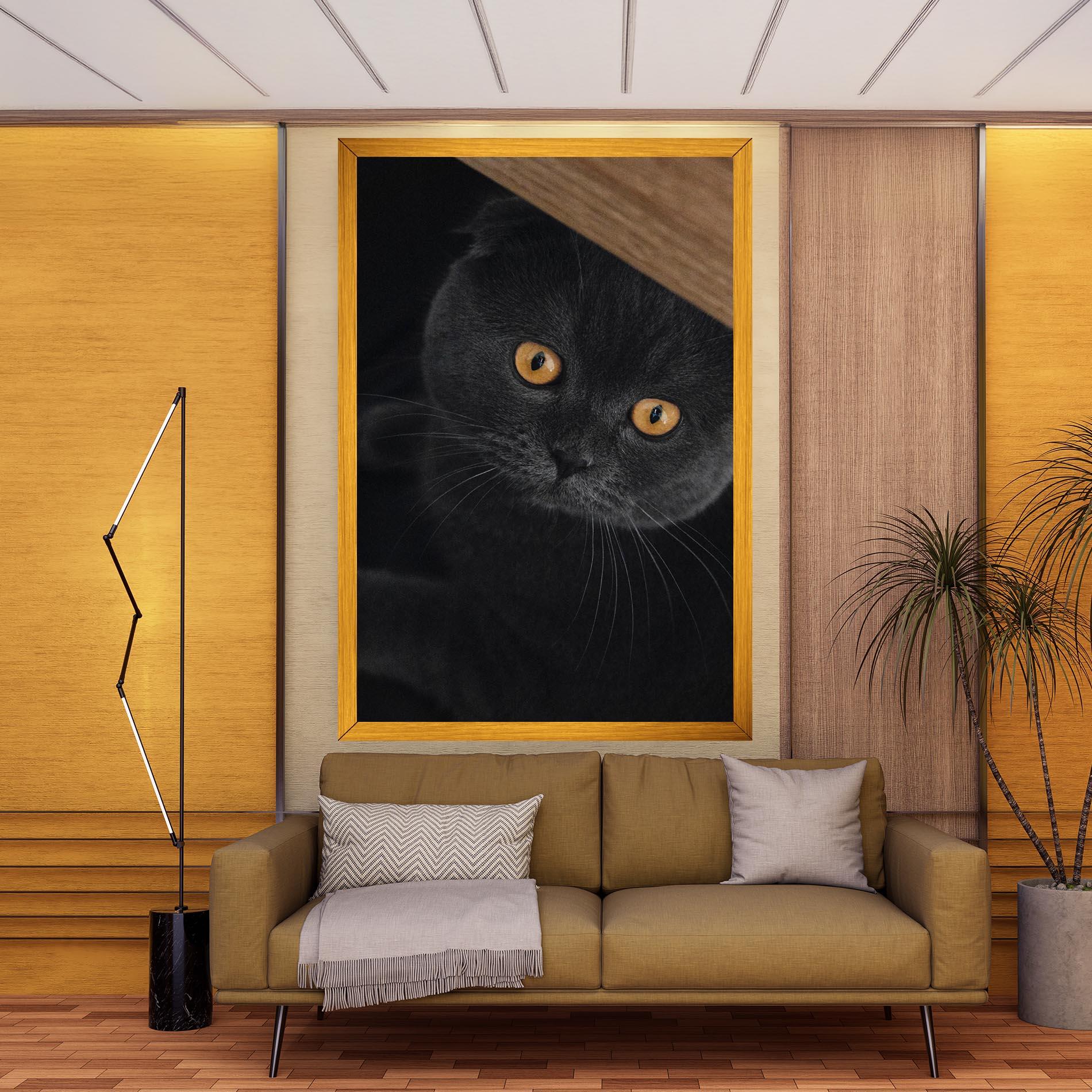 Vászonkép Grey Cat With Orange Eyes mockup 9