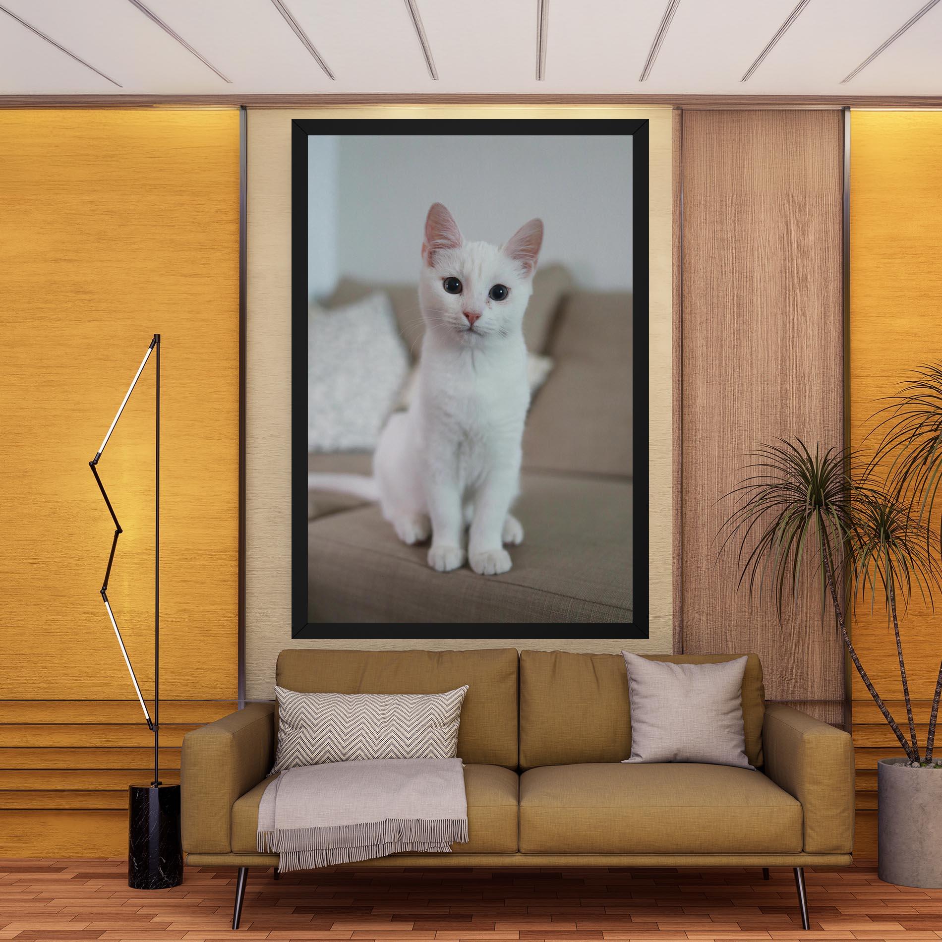 Vászonkép Beautiful White Cat mockup 9