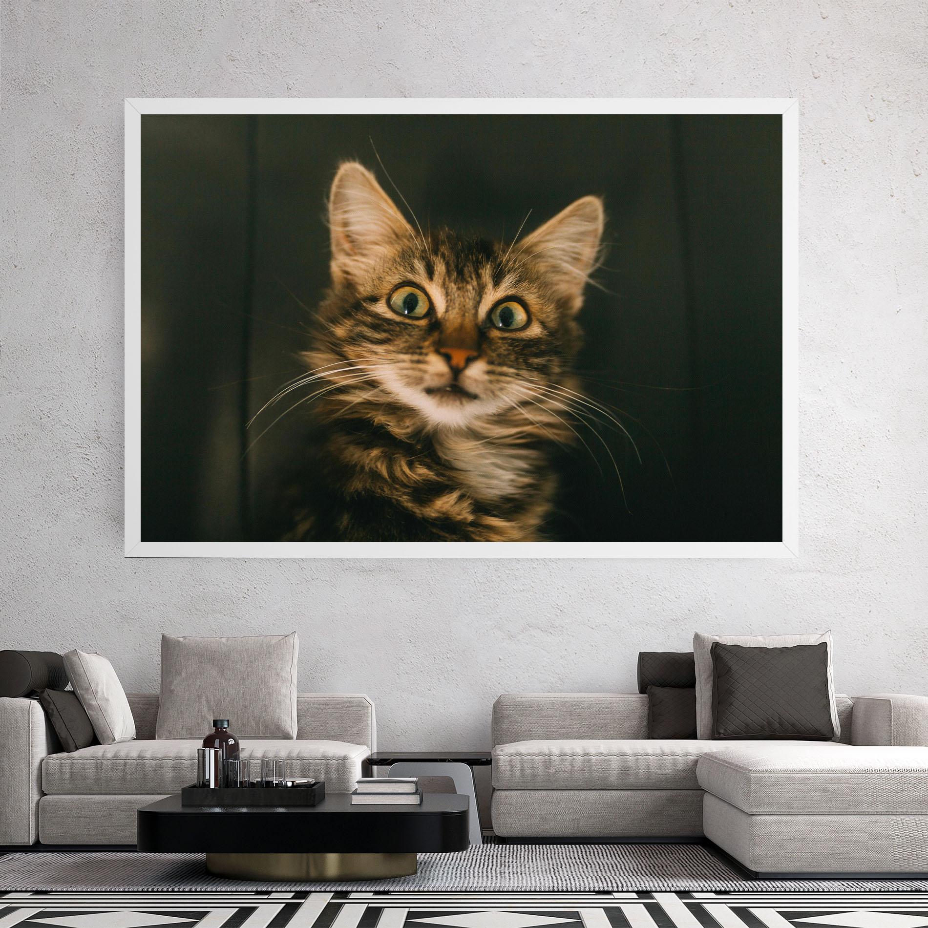 Vászonkép Amazed Cat mockup 2
