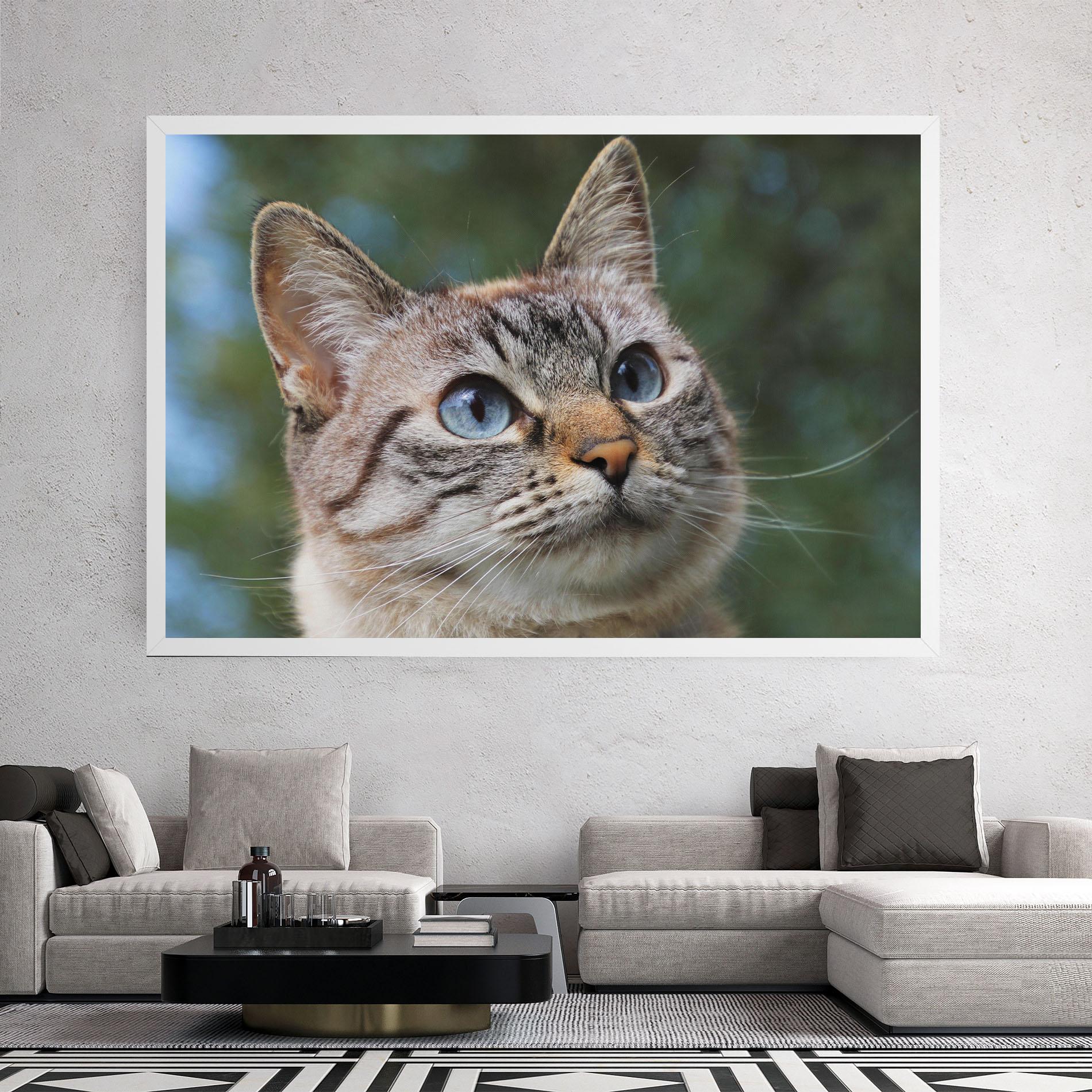 Vászonkép Blue Eyes Cutie mockup 2