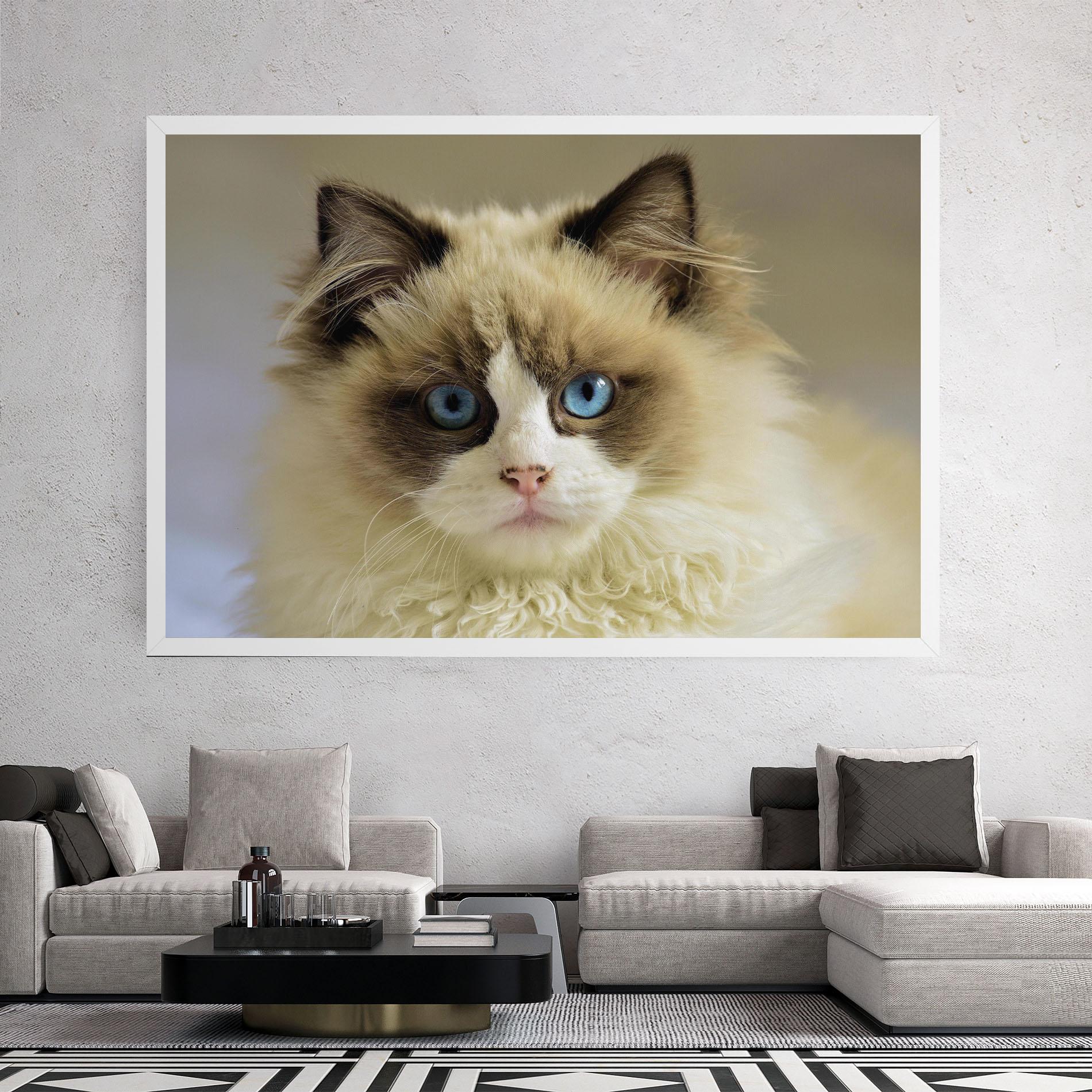 Vászonkép Interesting Blue Eyes Cat mockup 2