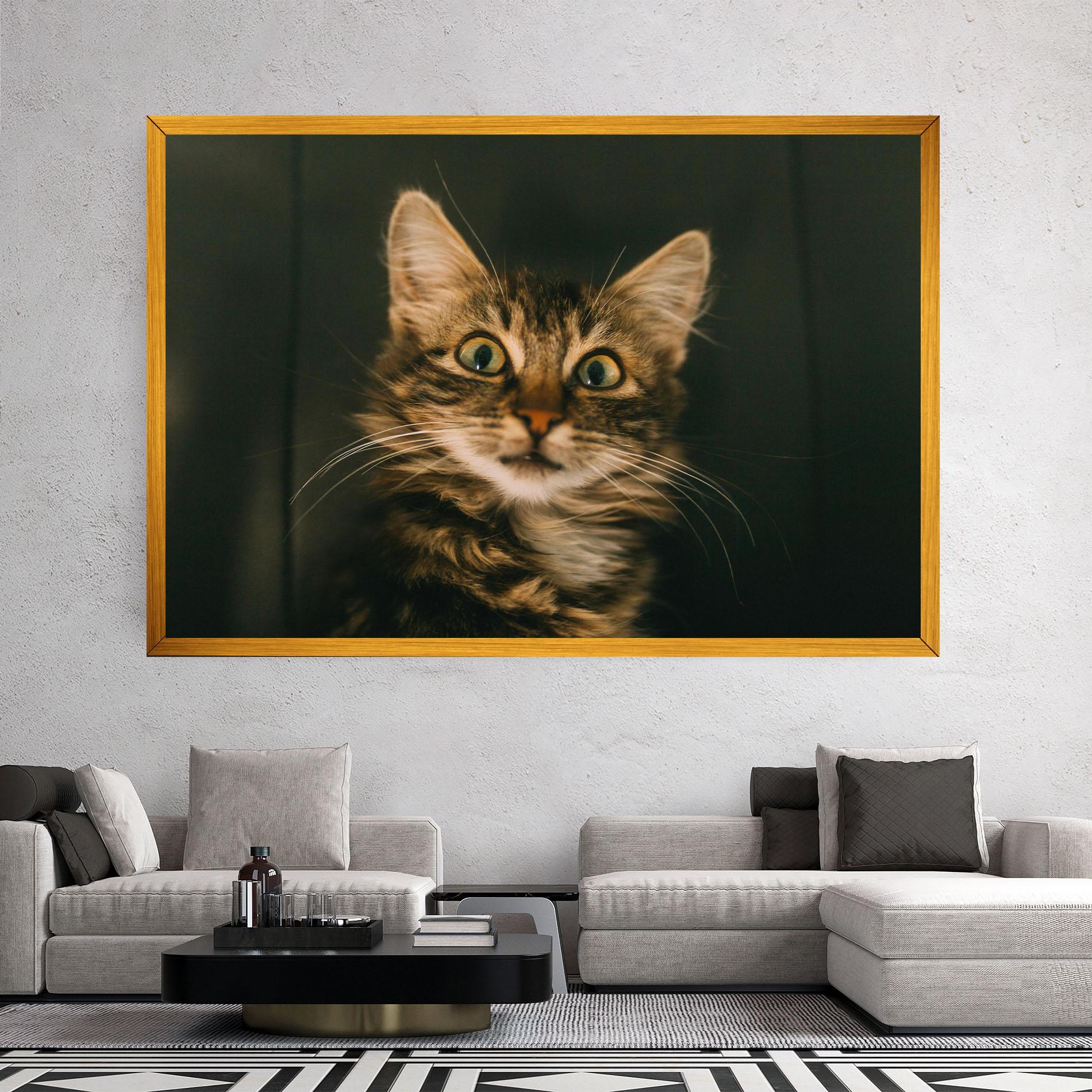 Vászonkép Amazed Cat mockup 2