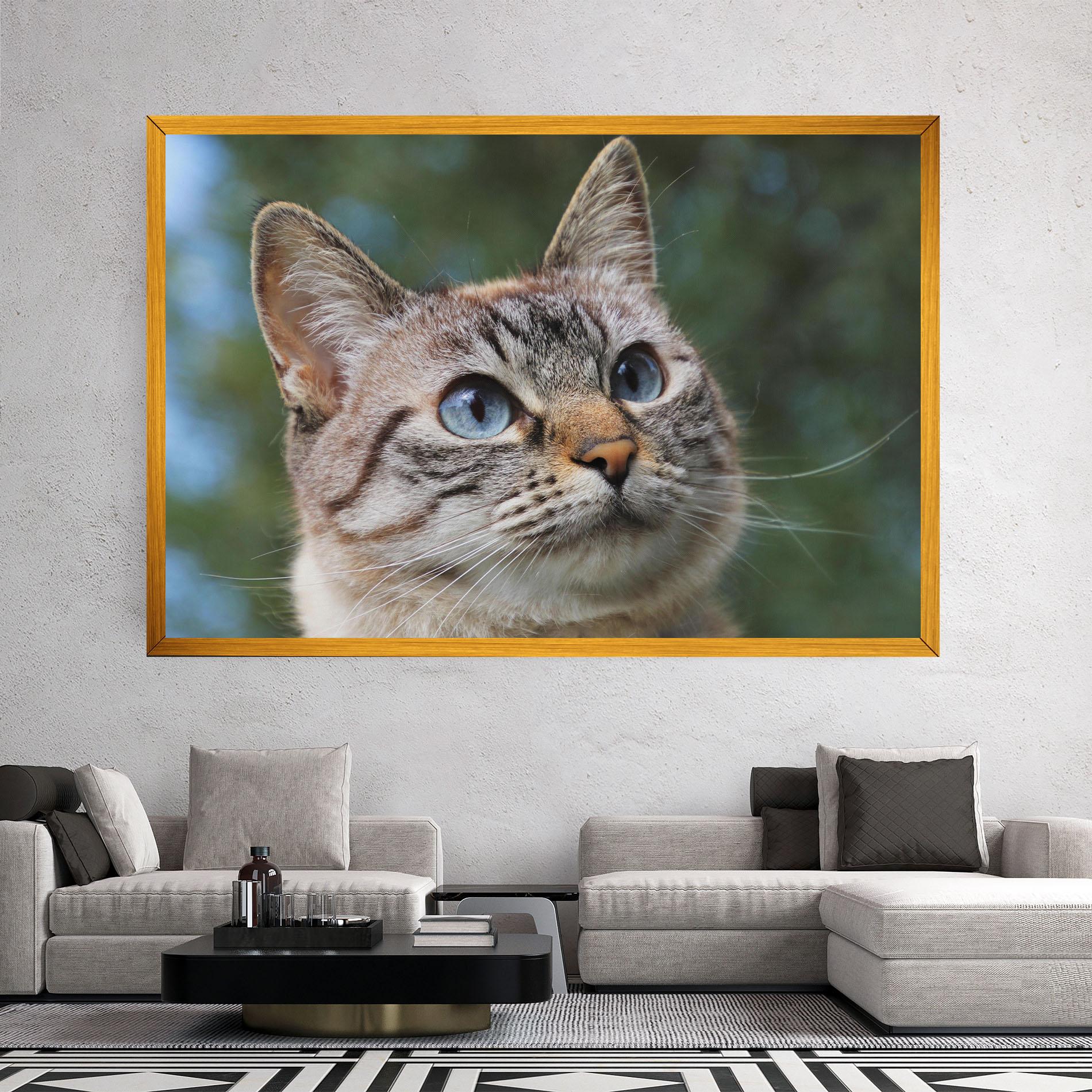 Vászonkép Blue Eyes Cutie mockup 2