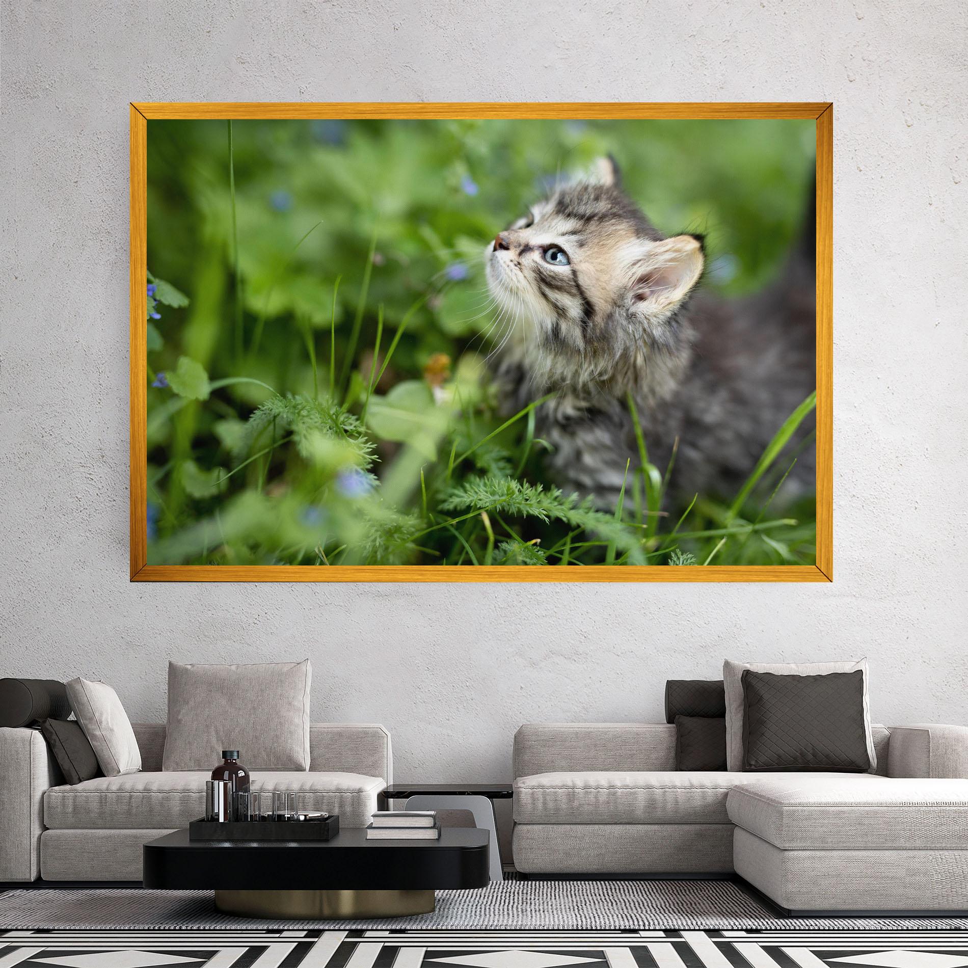 Vászonkép Brown Baby Cat mockup 2