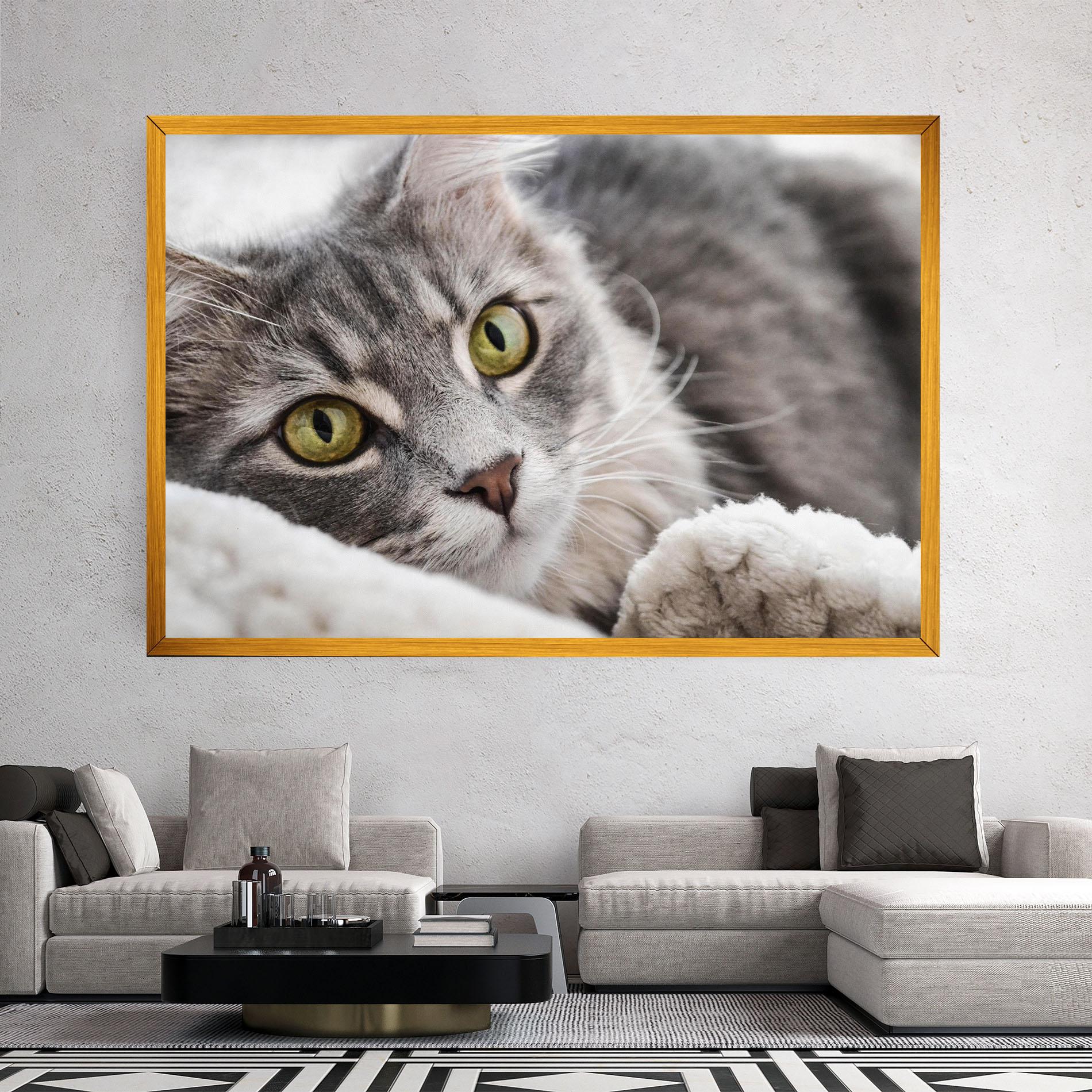 Vászonkép Grey Fluffy Cat mockup 2