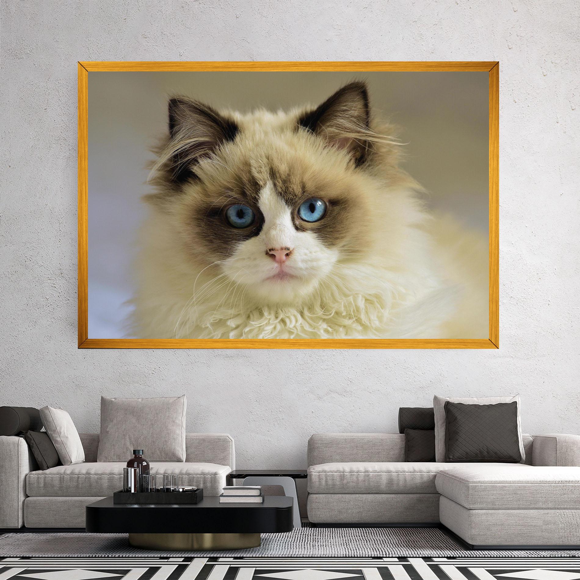 Vászonkép Interesting Blue Eyes Cat mockup 2