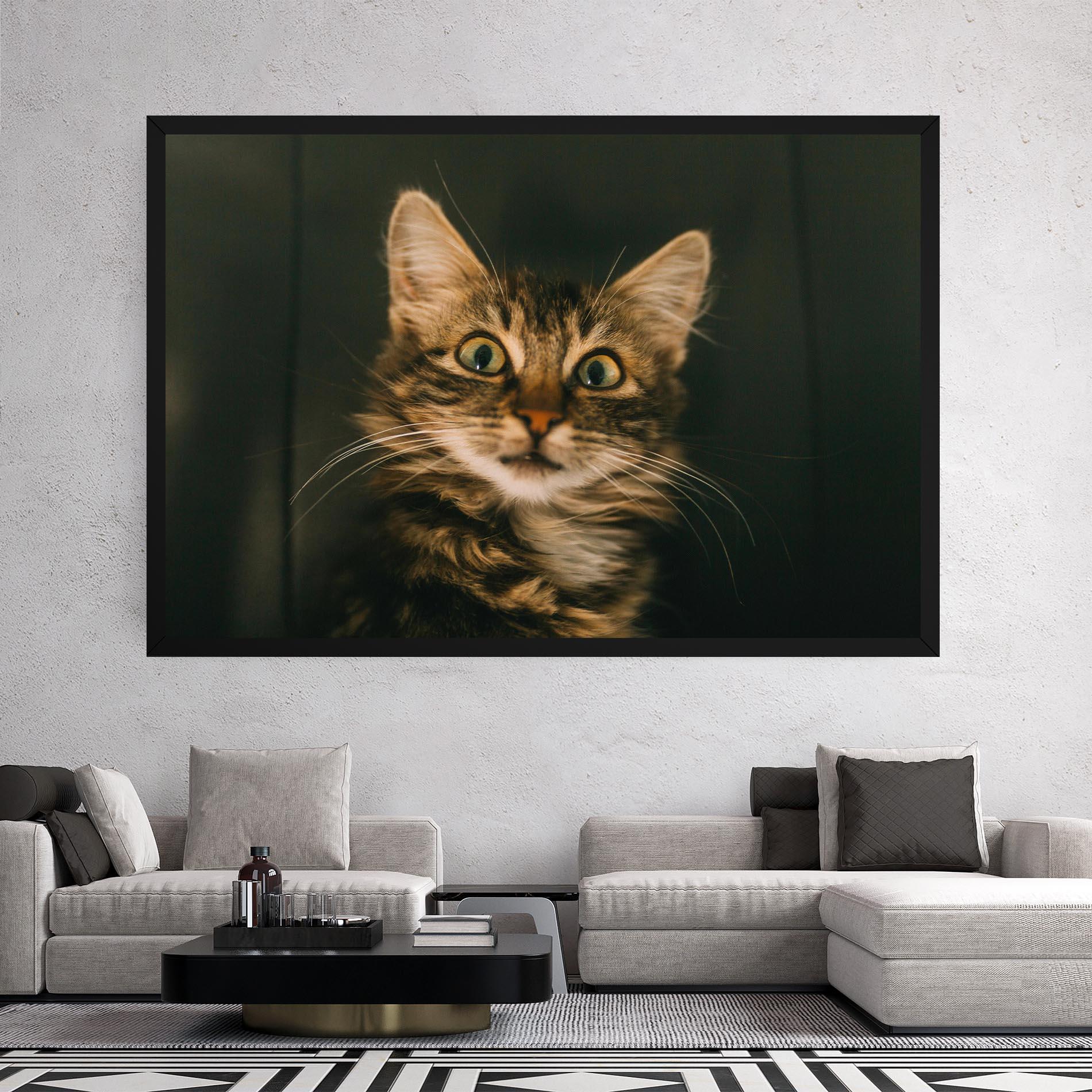 Vászonkép Amazed Cat mockup 2