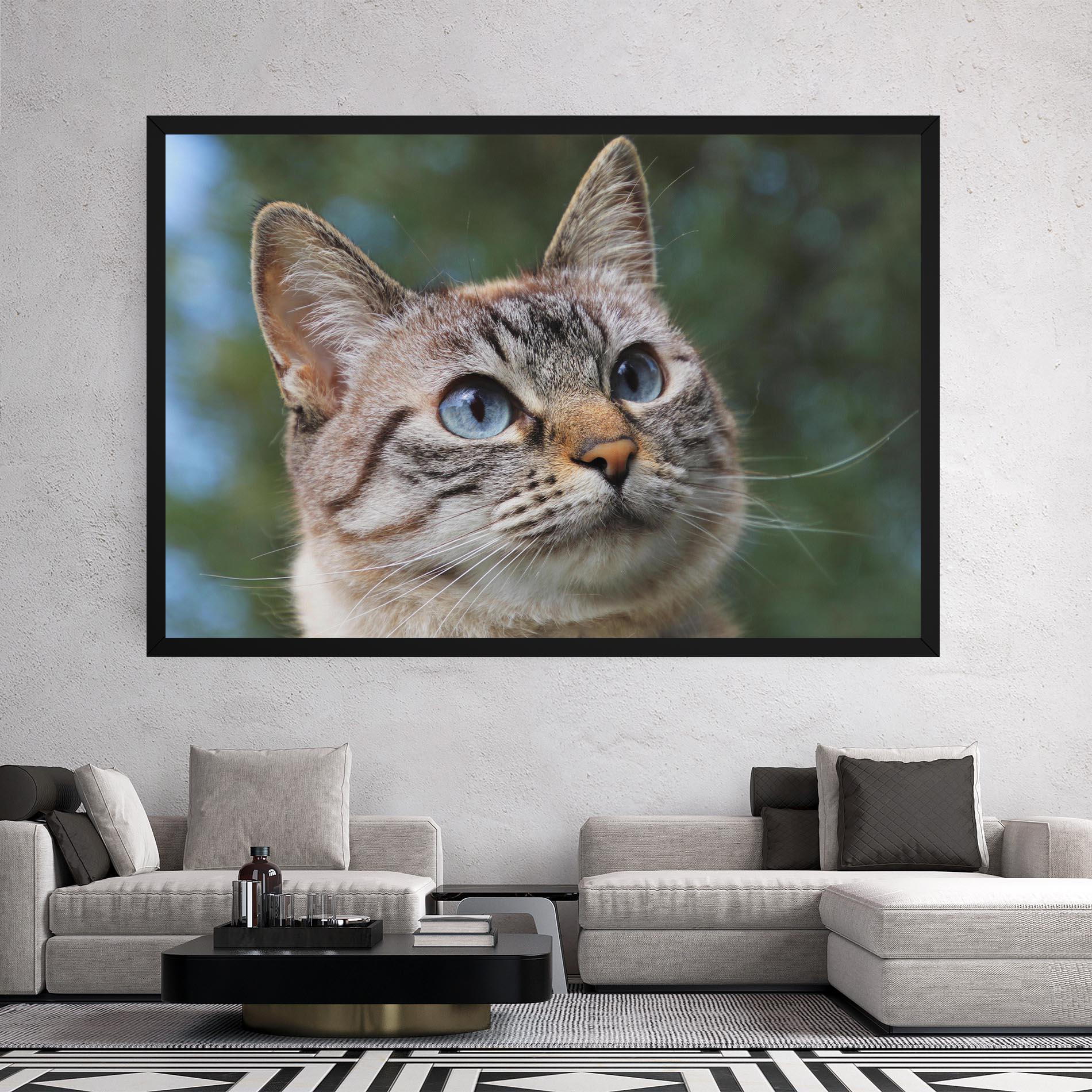 Vászonkép Blue Eyes Cutie mockup 2