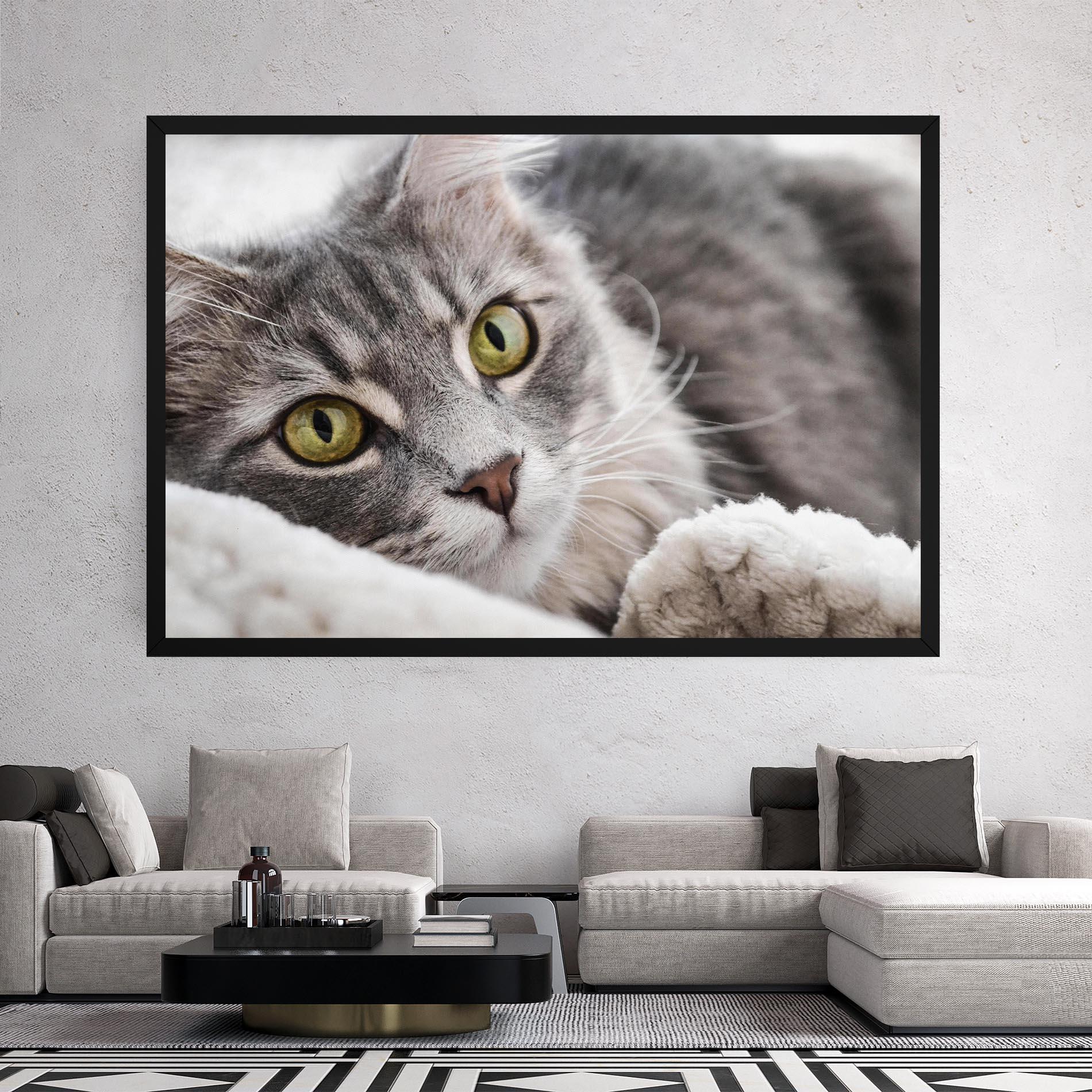 Vászonkép Grey Fluffy Cat mockup 2