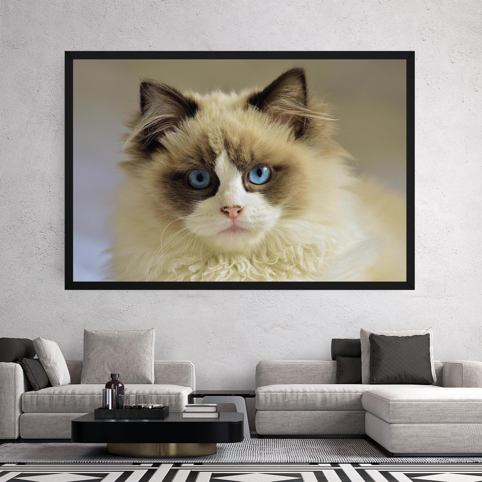 Vászonkép Interesting Blue Eyes Cat mockup 2