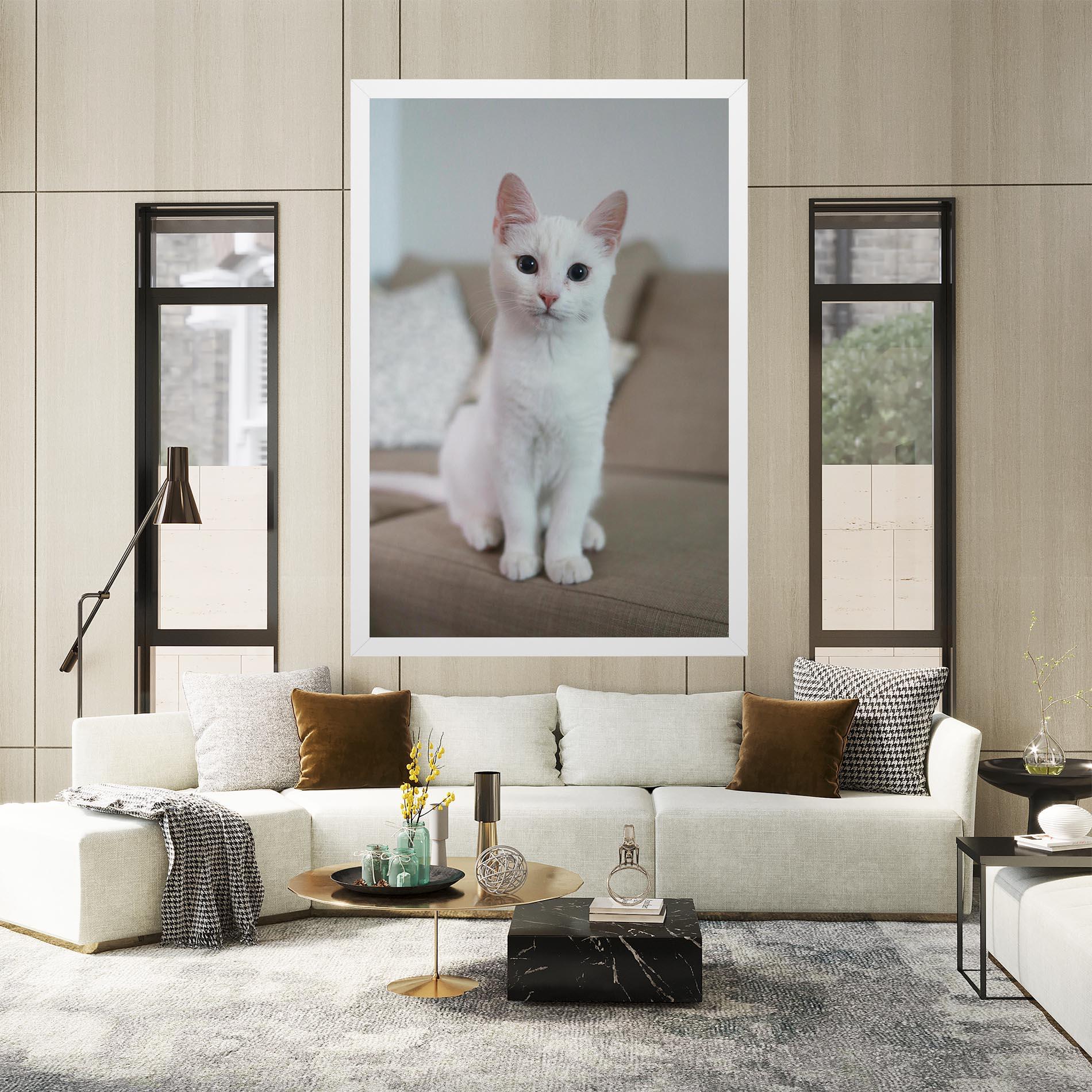 Vászonkép Beautiful White Cat mockup 2