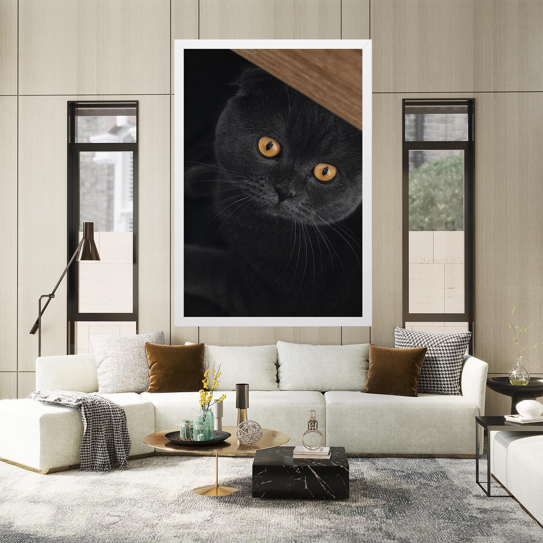 Vászonkép Grey Cat With Orange Eyes mockup 2