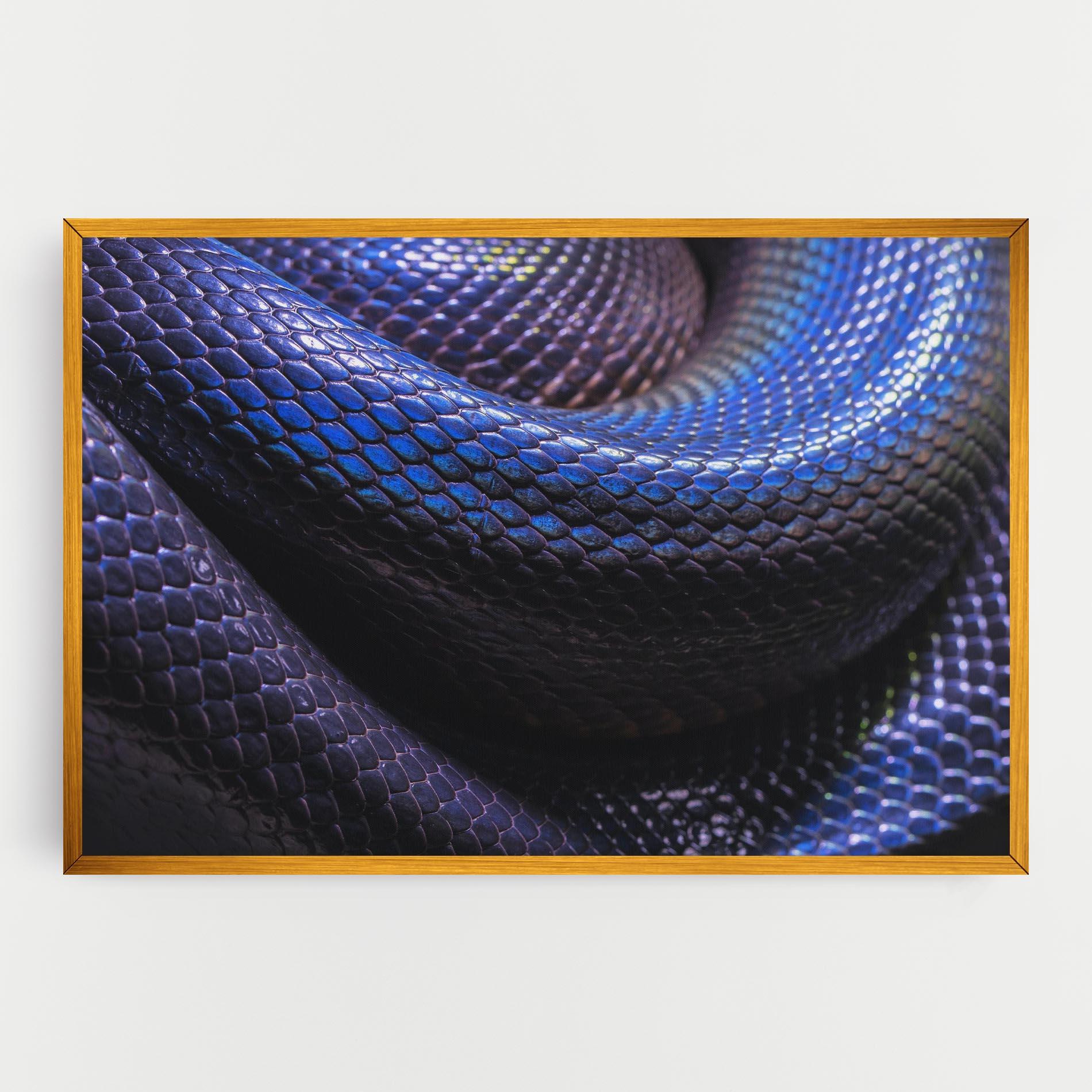 Vászonkép Snake Skin mockup 0