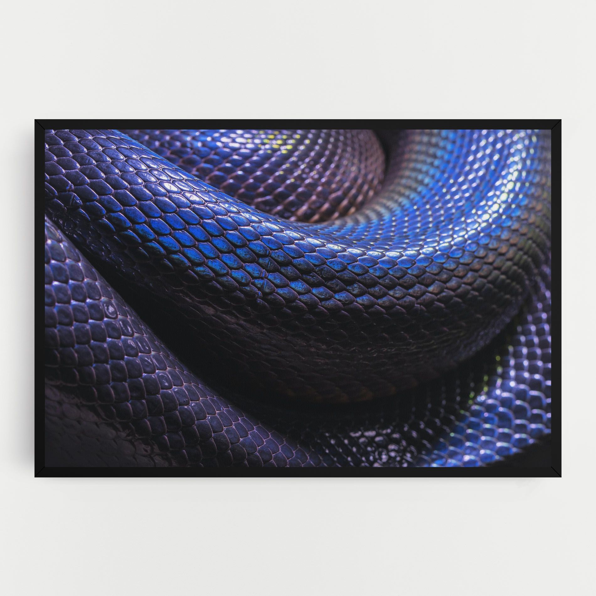 Snake Skin mockup 0