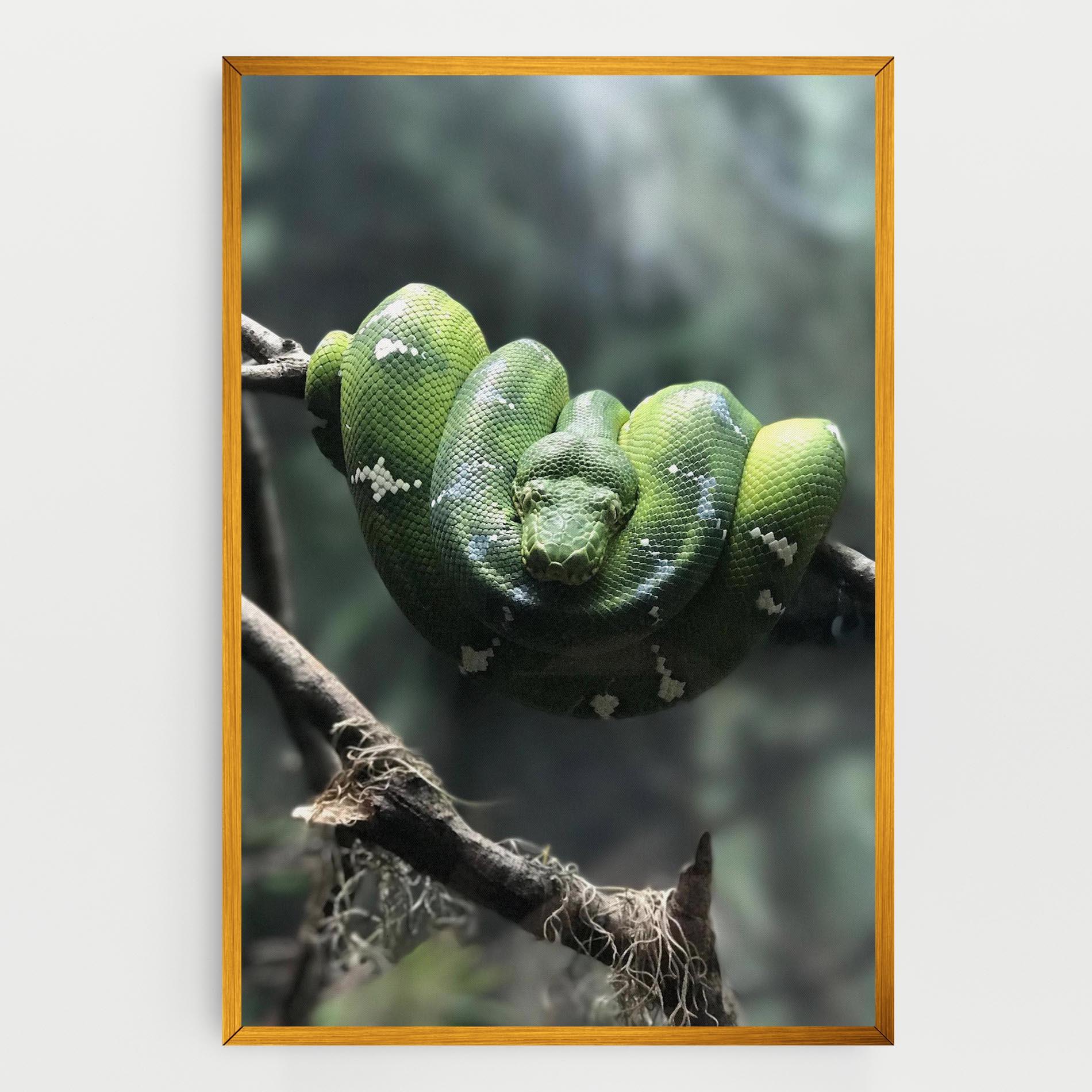 Vászonkép Sleepy Snake mockup 0