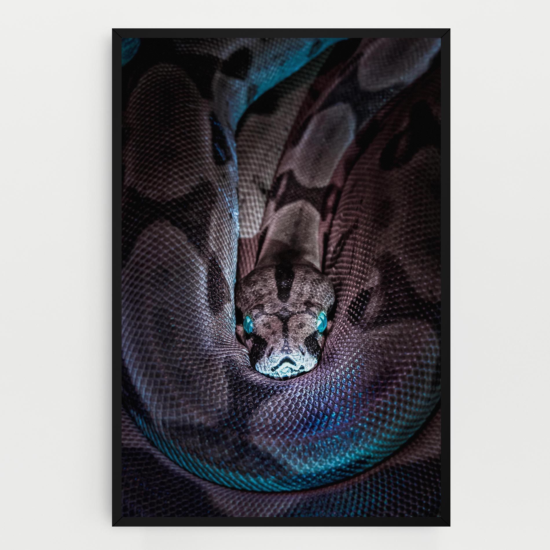 Vibrant Snake mockup 0