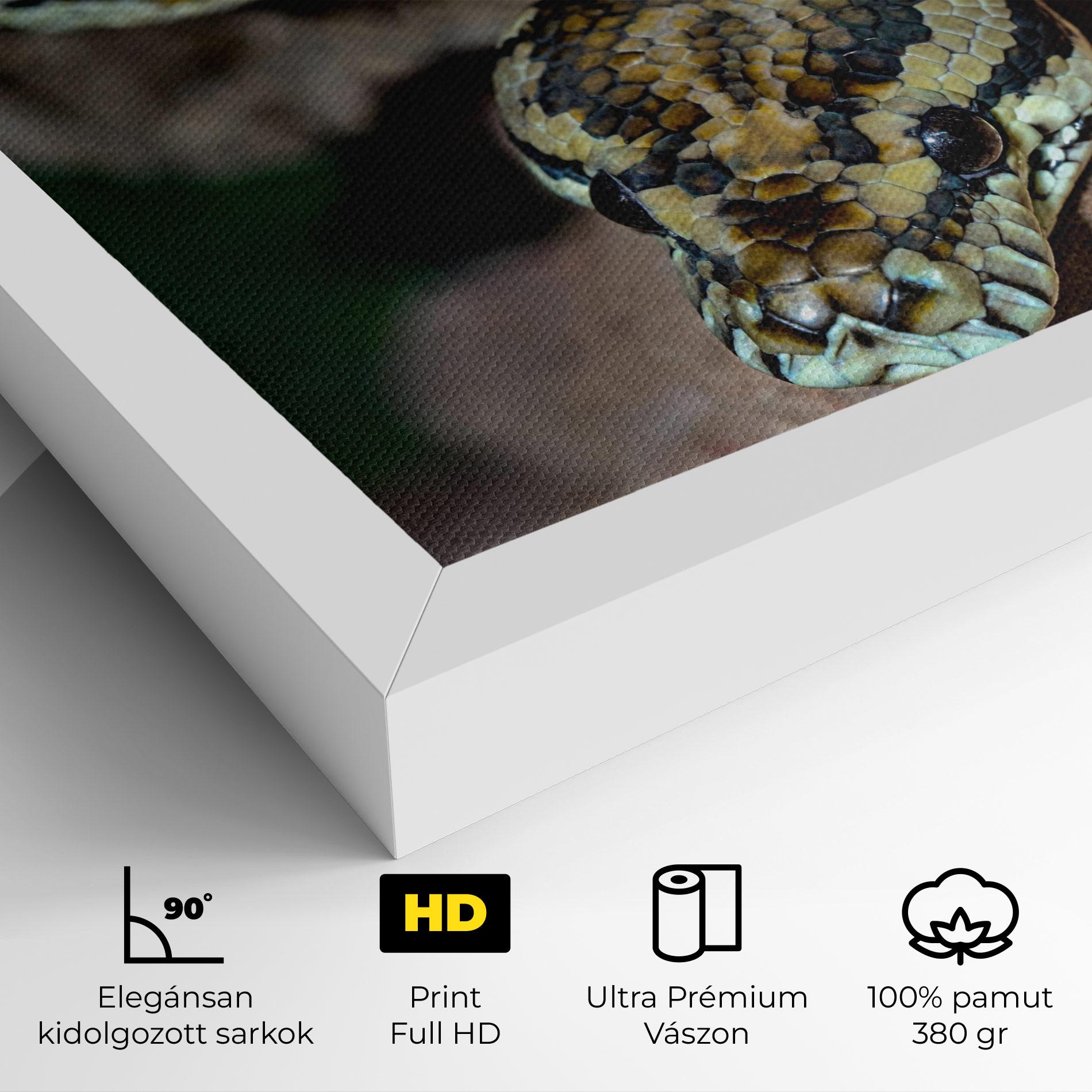Vászonkép King Snake mockup 4