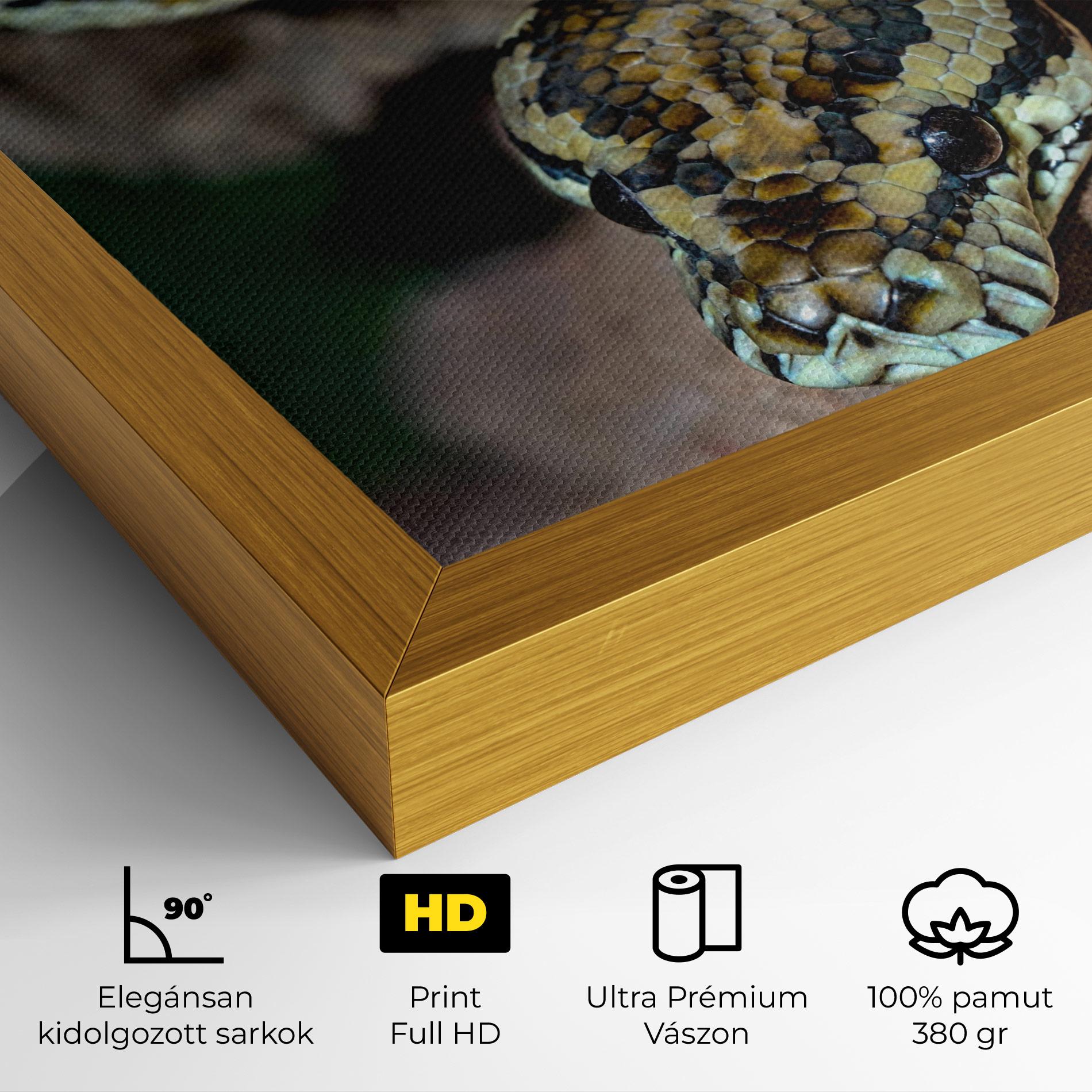 Vászonkép King Snake mockup 4
