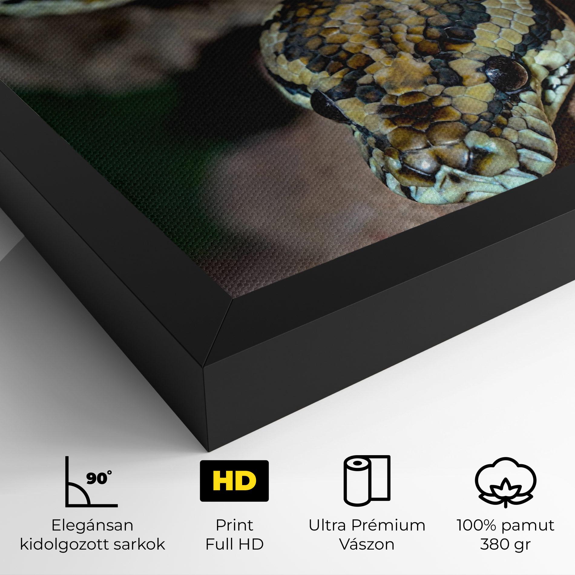 Vászonkép King Snake mockup 4