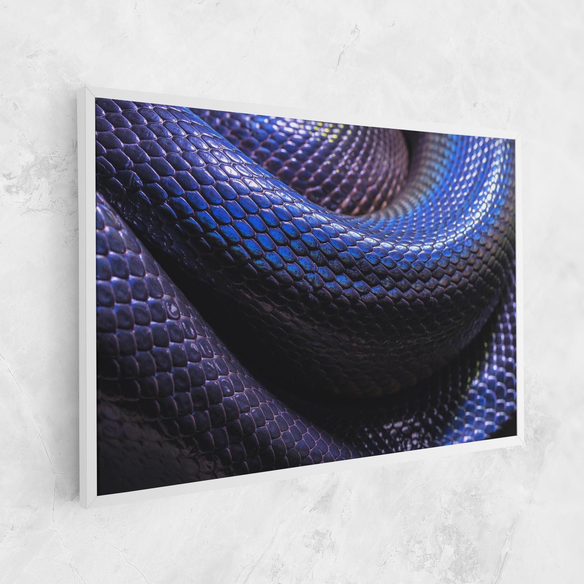 Vászonkép Snake Skin mockup 1