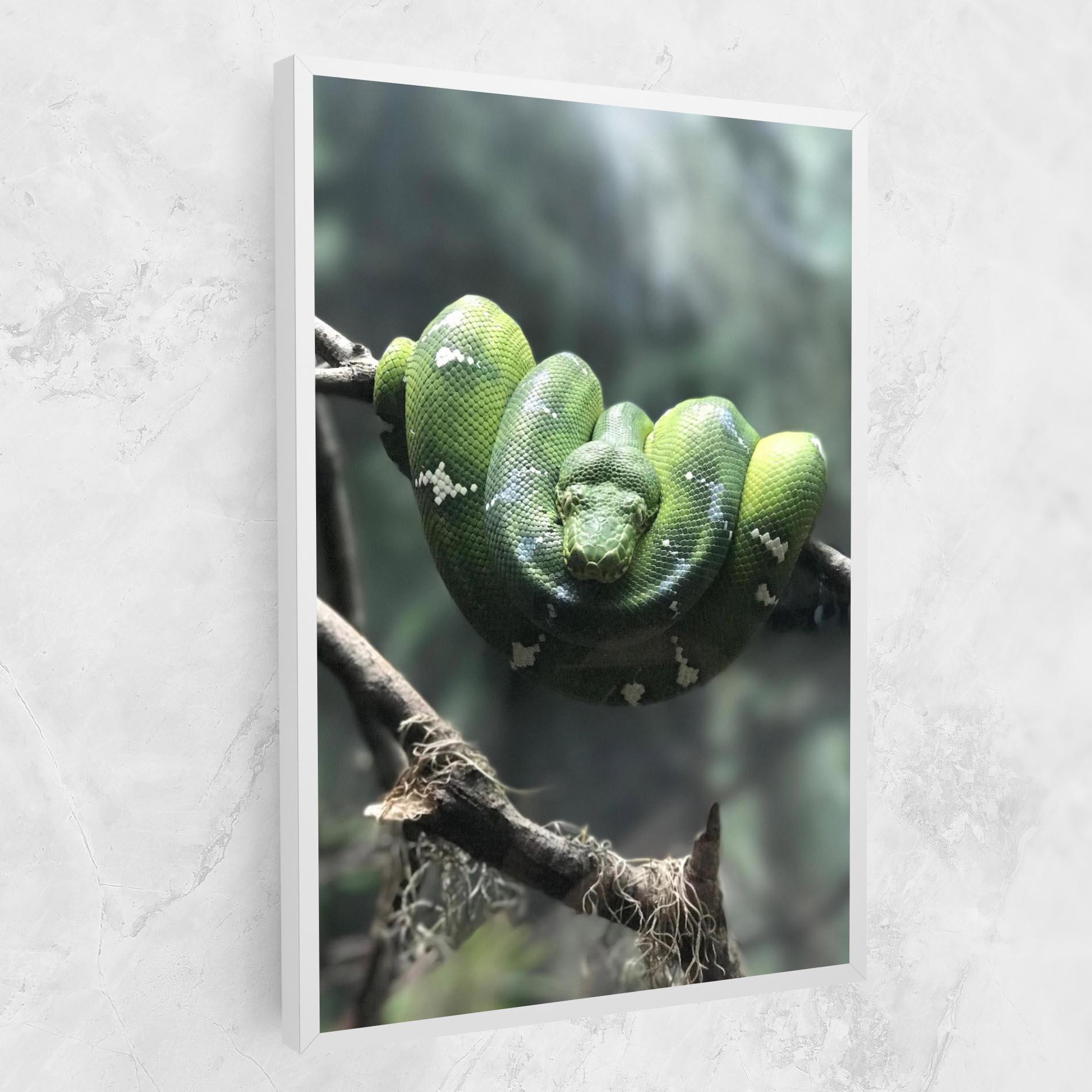 Vászonkép Sleepy Snake mockup 1