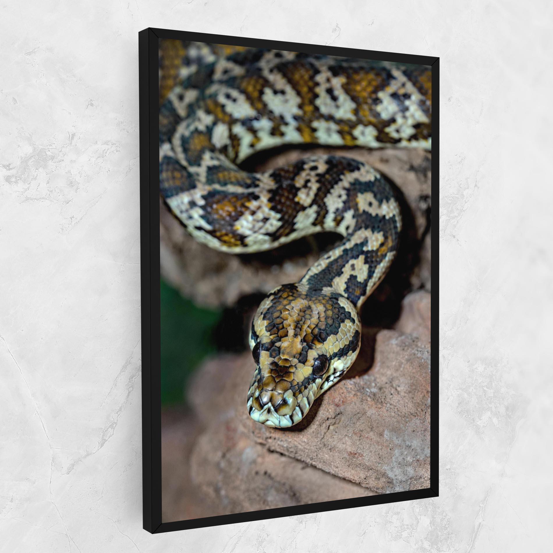 Vászonkép King Snake mockup 1