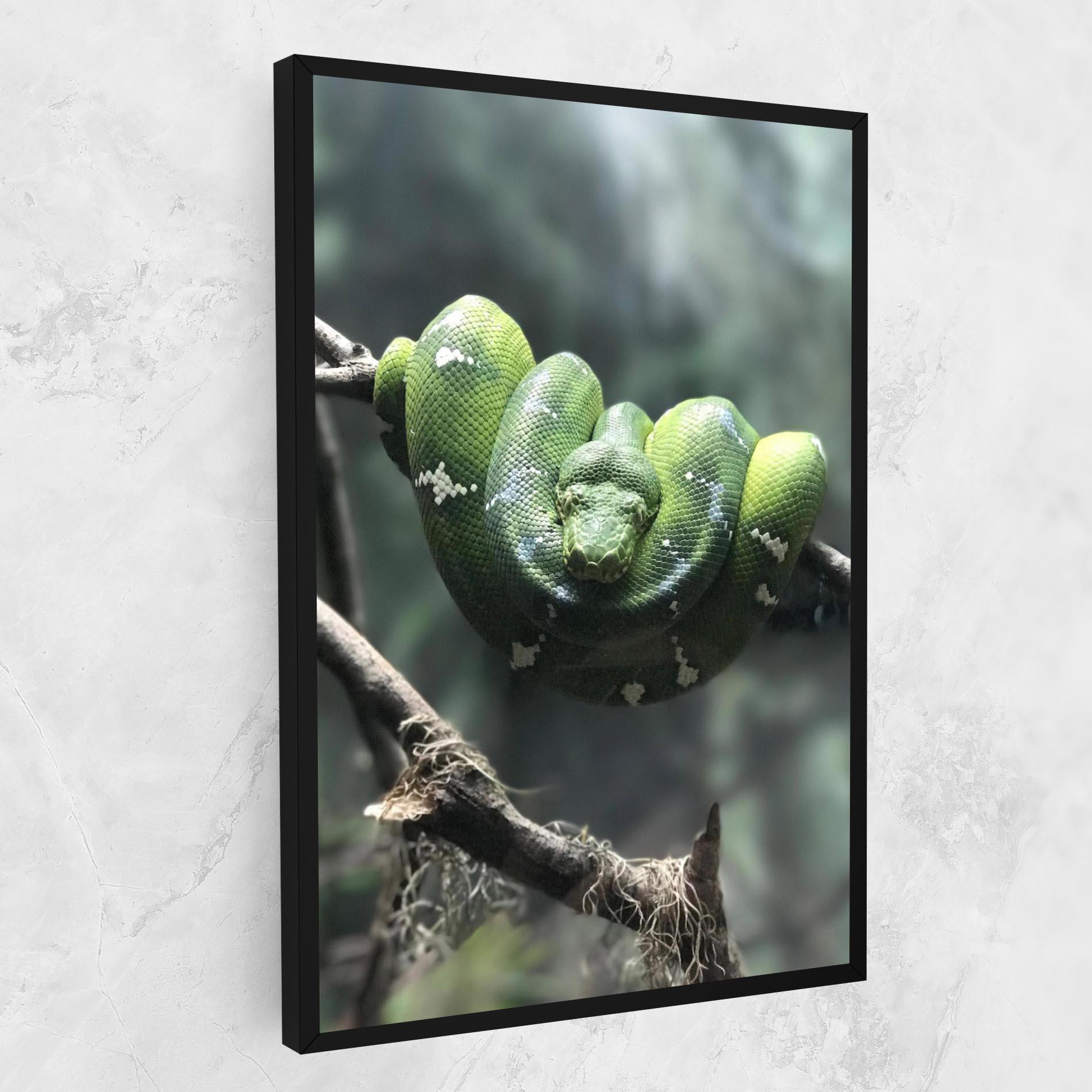 Vászonkép Sleepy Snake mockup 1