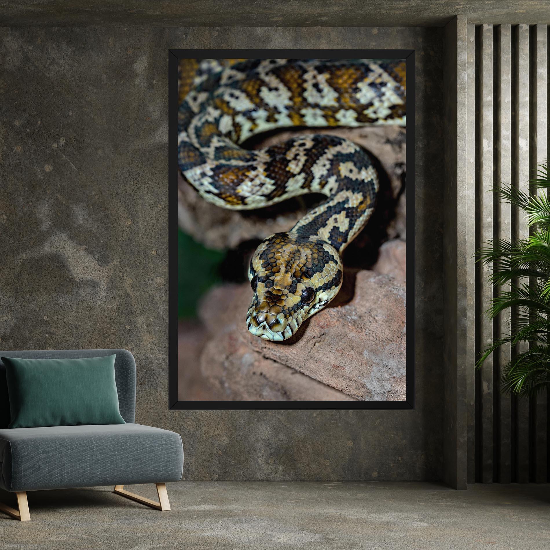 Vászonkép King Snake mockup 7