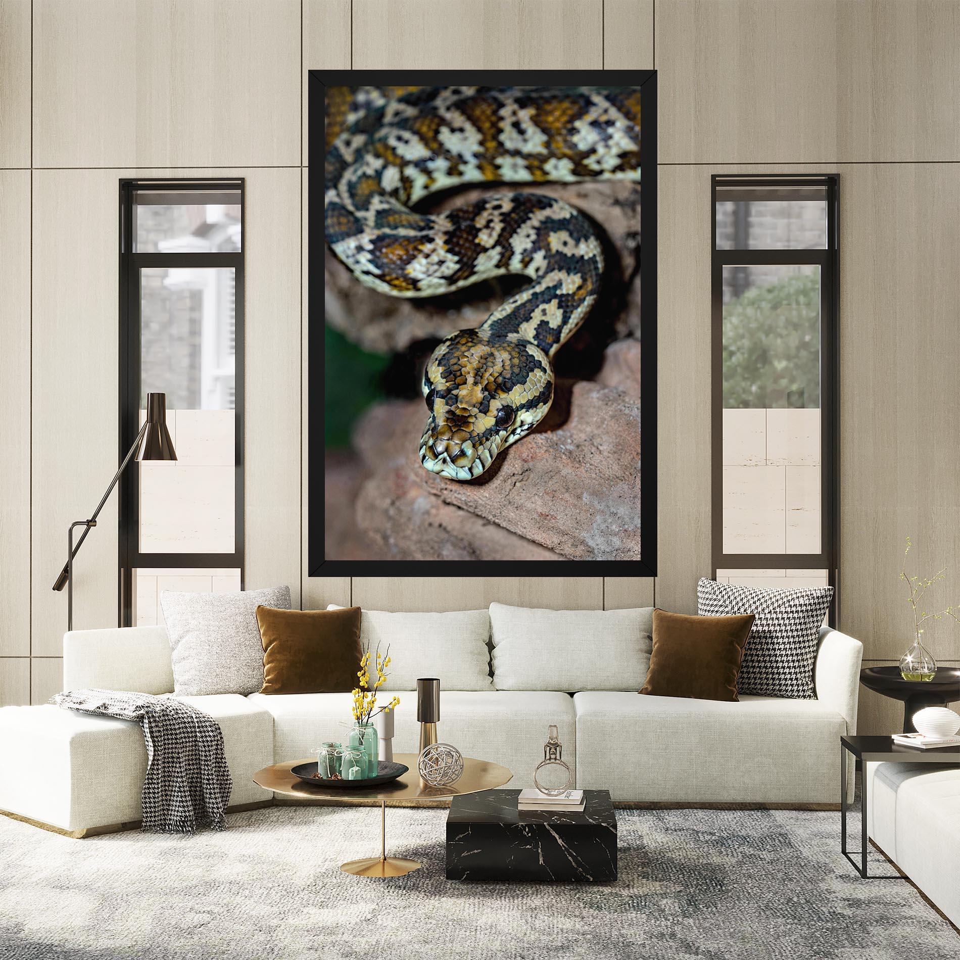 Vászonkép King Snake mockup 2