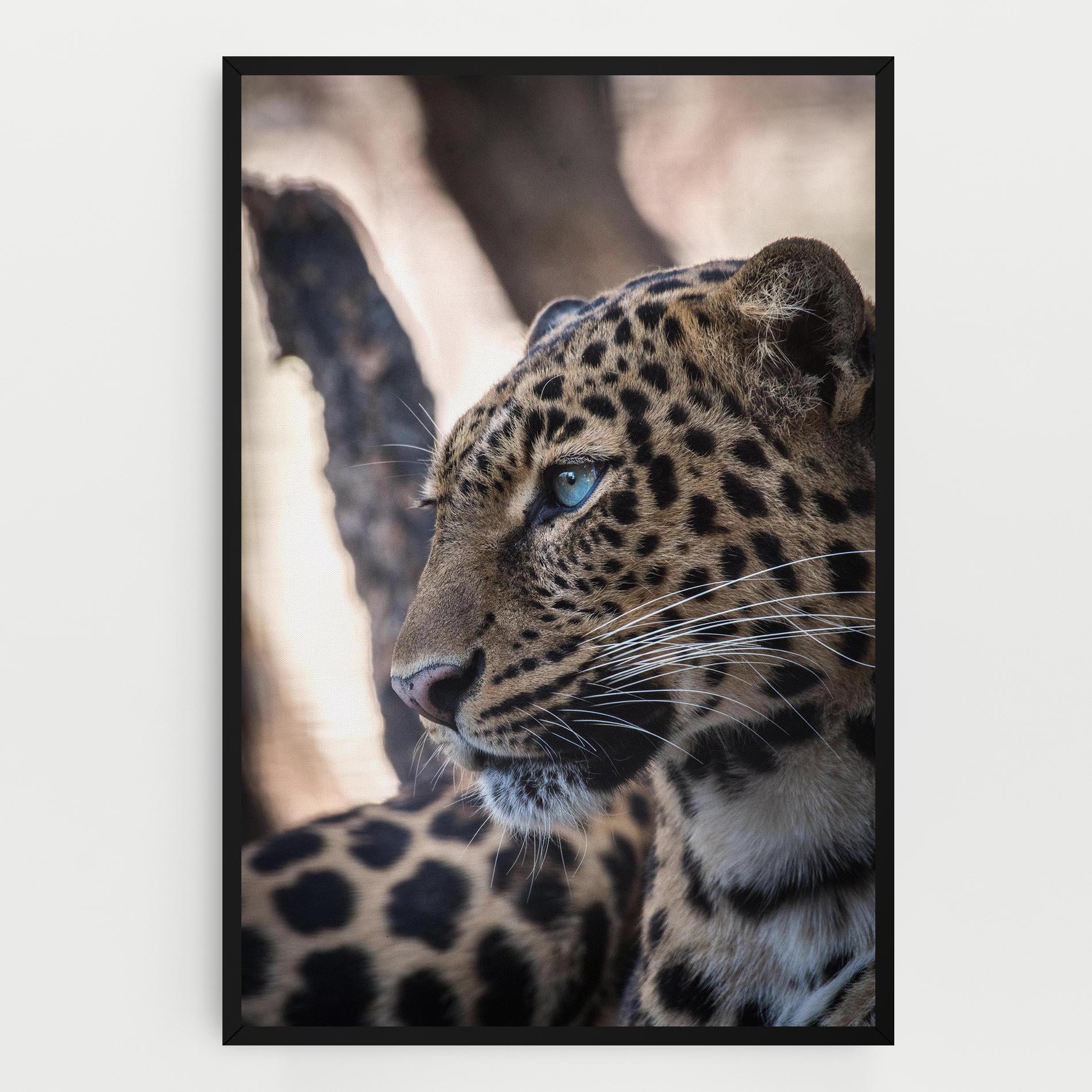 Vászonkép Blue Tiger mockup 0