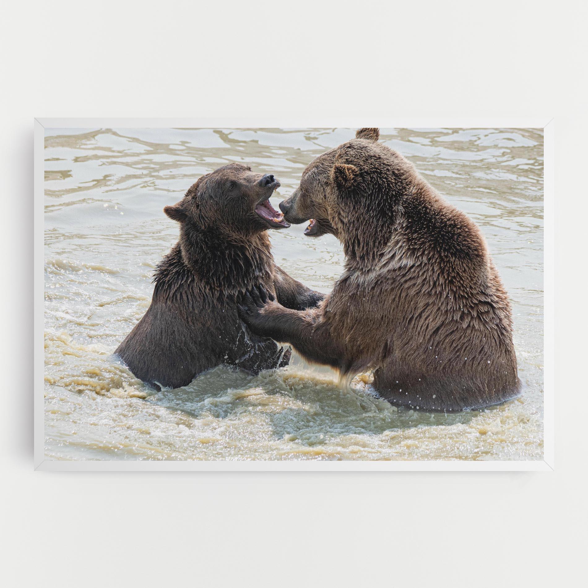 Vászonkép Bears Fighting mockup 0
