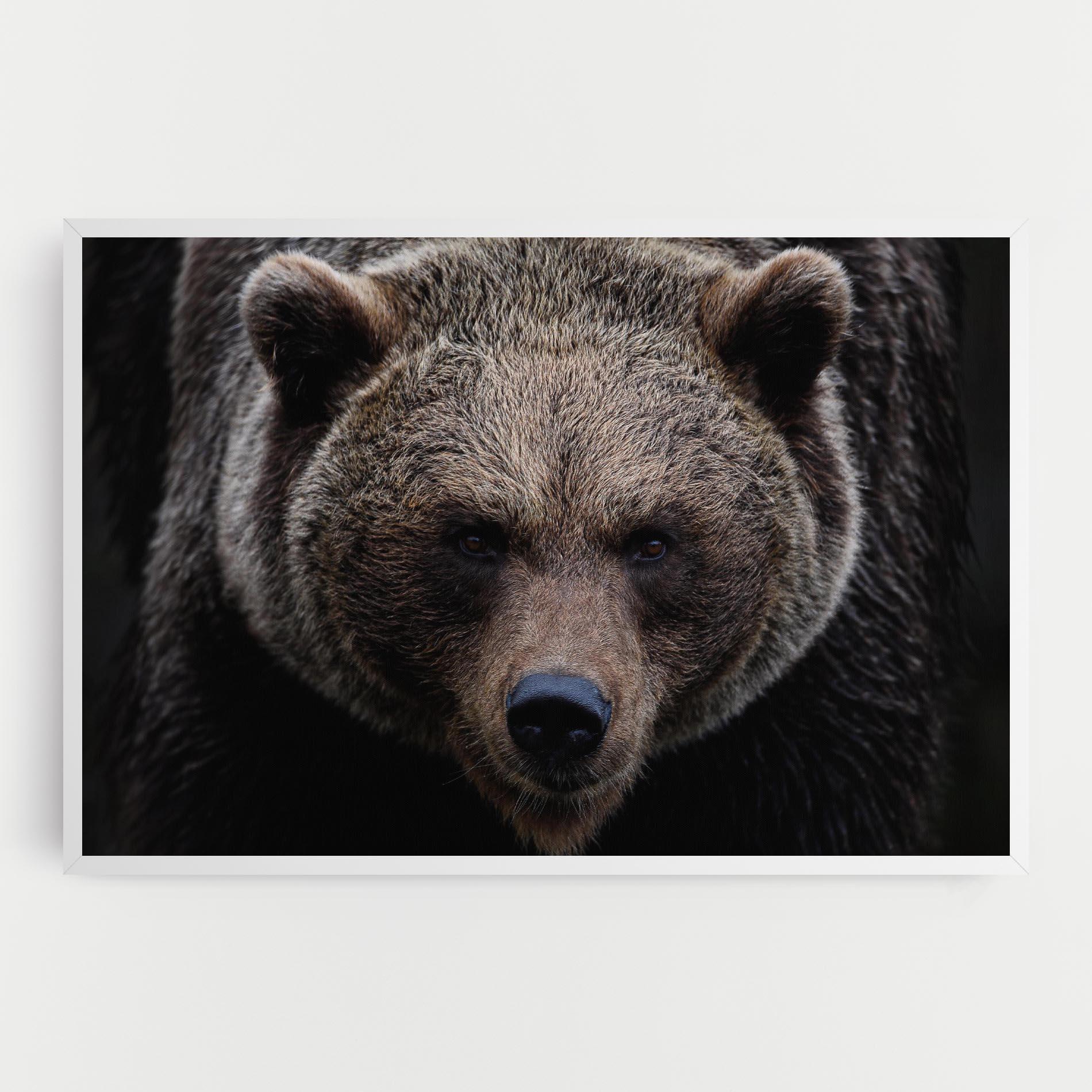 Vászonkép Brown Bear mockup 0