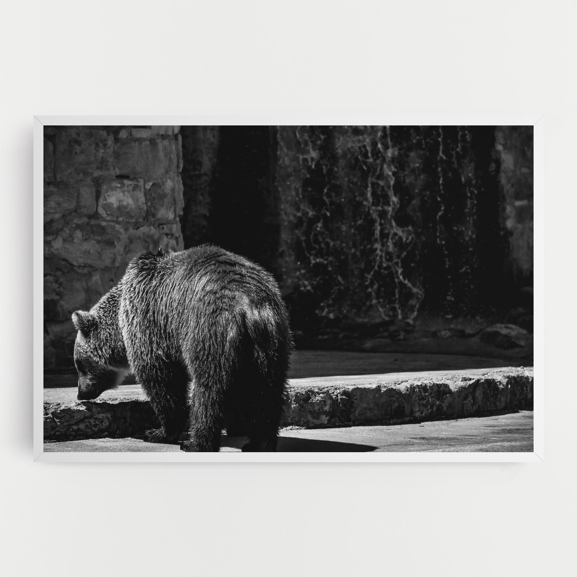 Vászonkép Grey Bear mockup 0