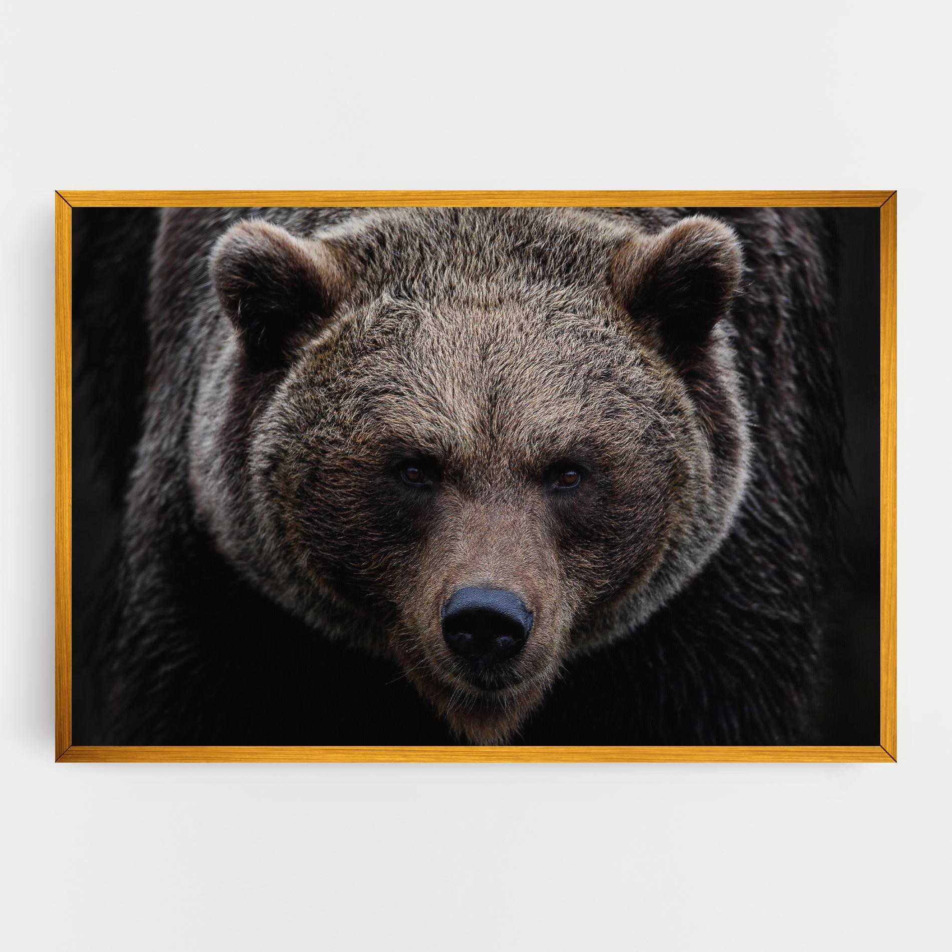 Vászonkép Brown Bear mockup 0