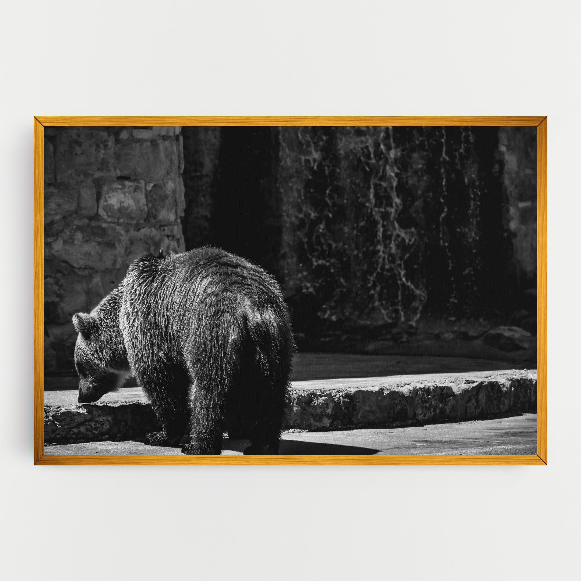 Vászonkép Grey Bear mockup 0