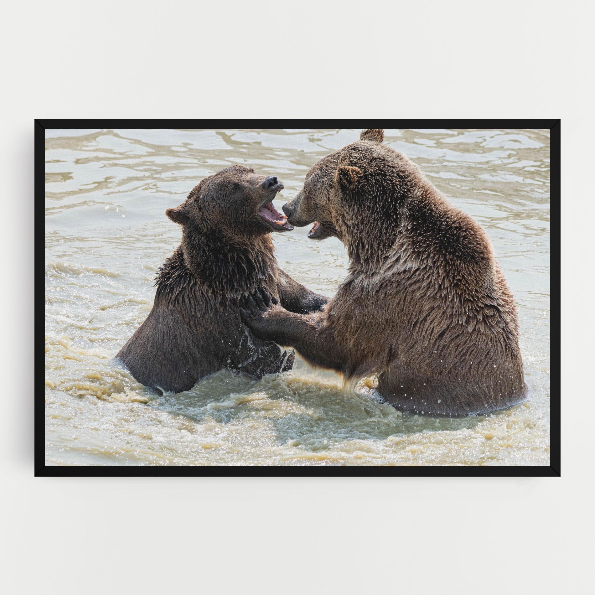 Bears Fighting mockup 0
