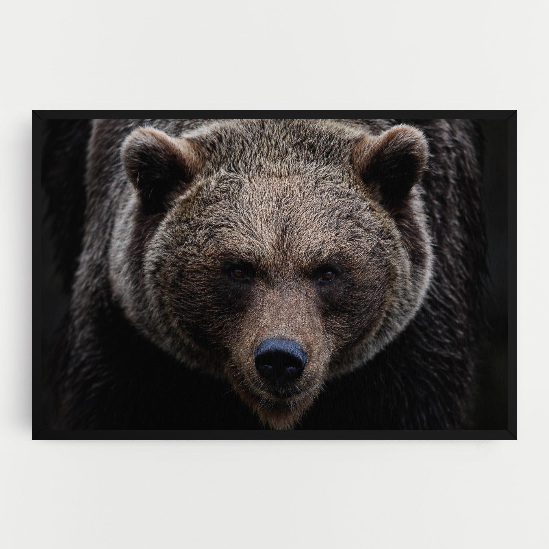 Vászonkép Brown Bear mockup 0