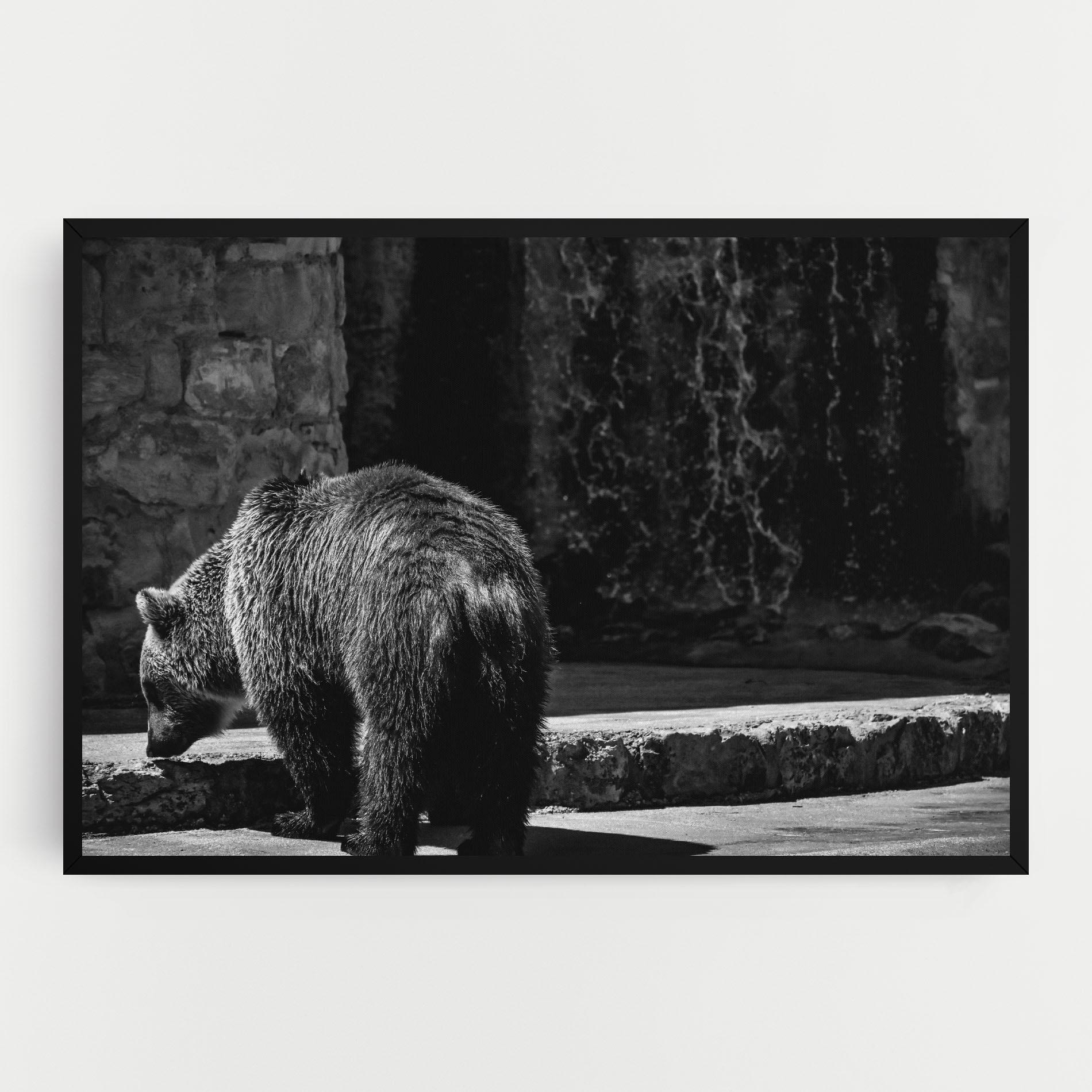 Vászonkép Grey Bear mockup 0
