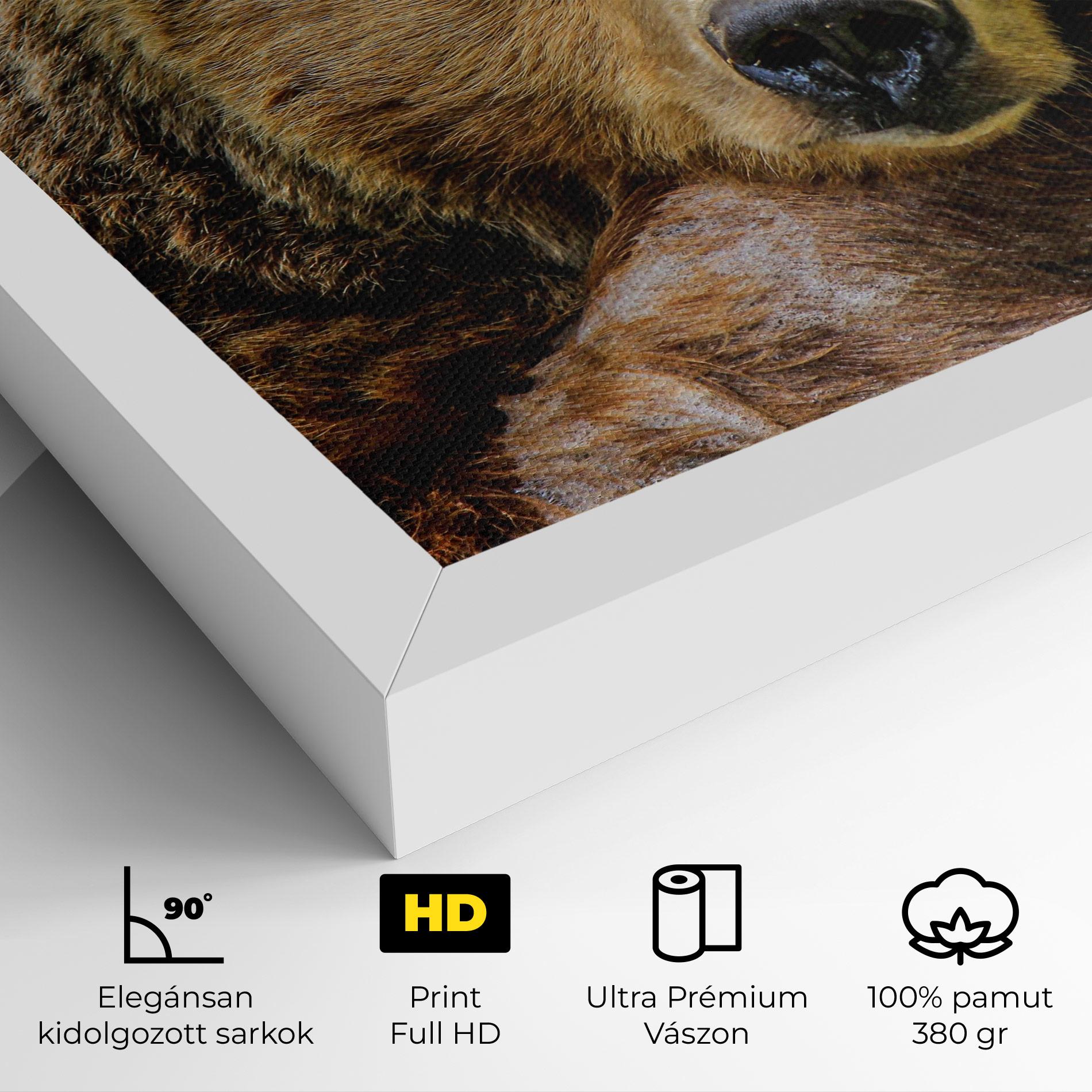 Vászonkép Bear mockup 4