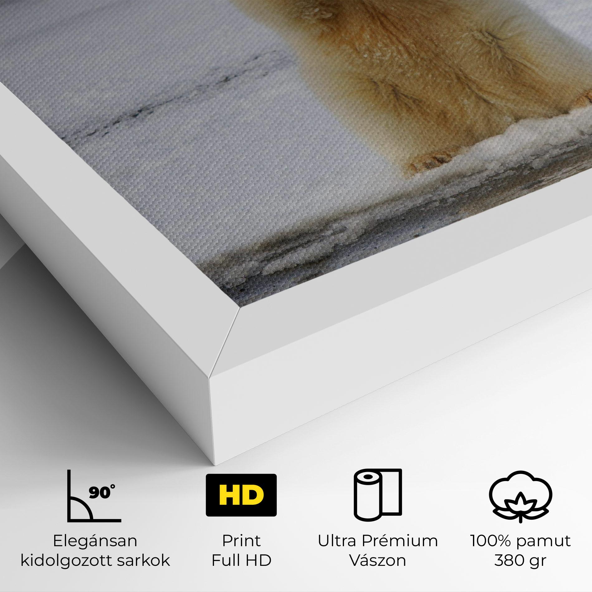 Vászonkép Icebear Praying mockup 4