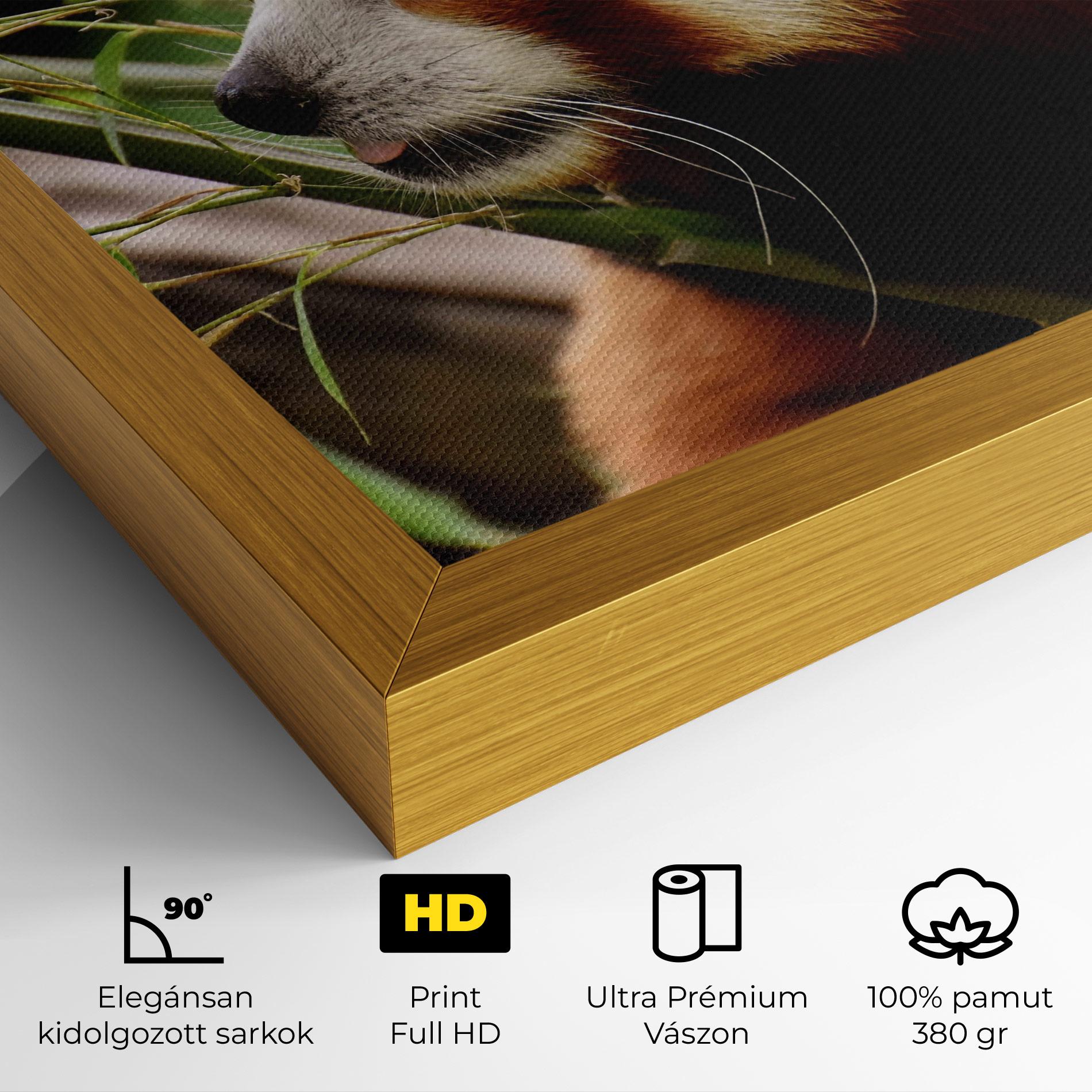 Vászonkép Cute Red Panda mockup 4
