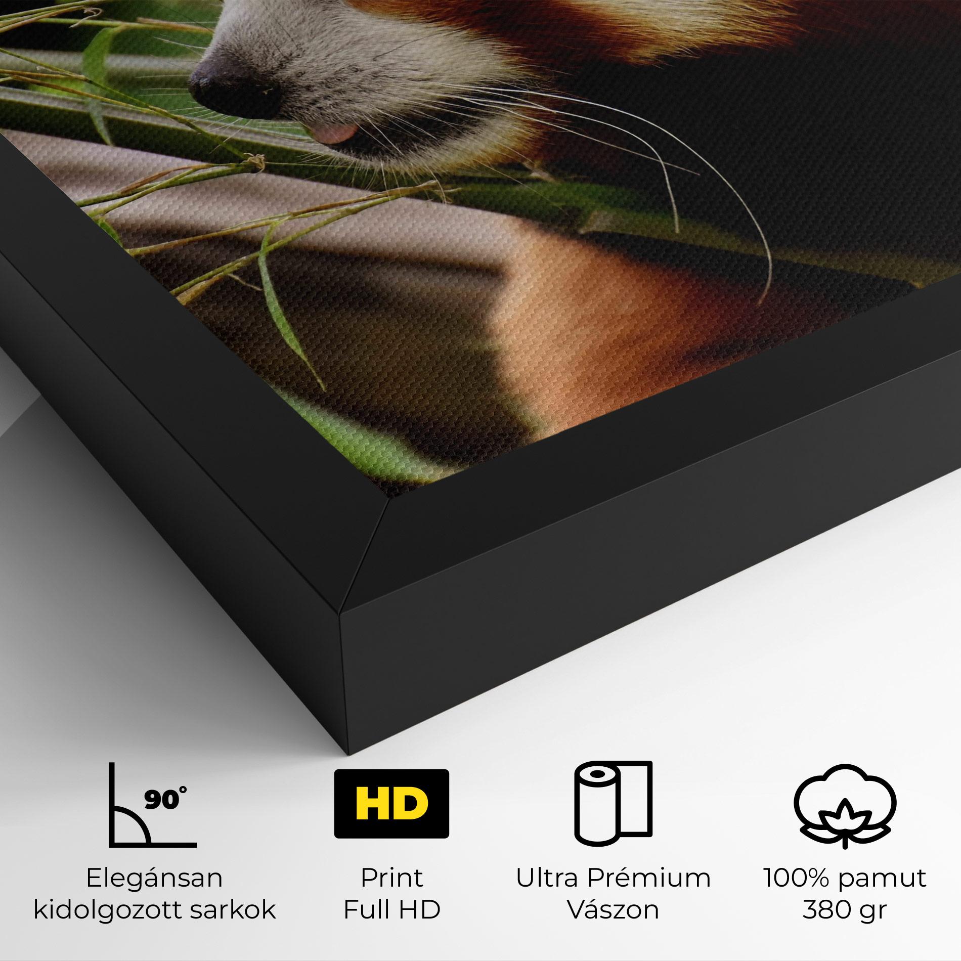 Vászonkép Cute Red Panda mockup 4