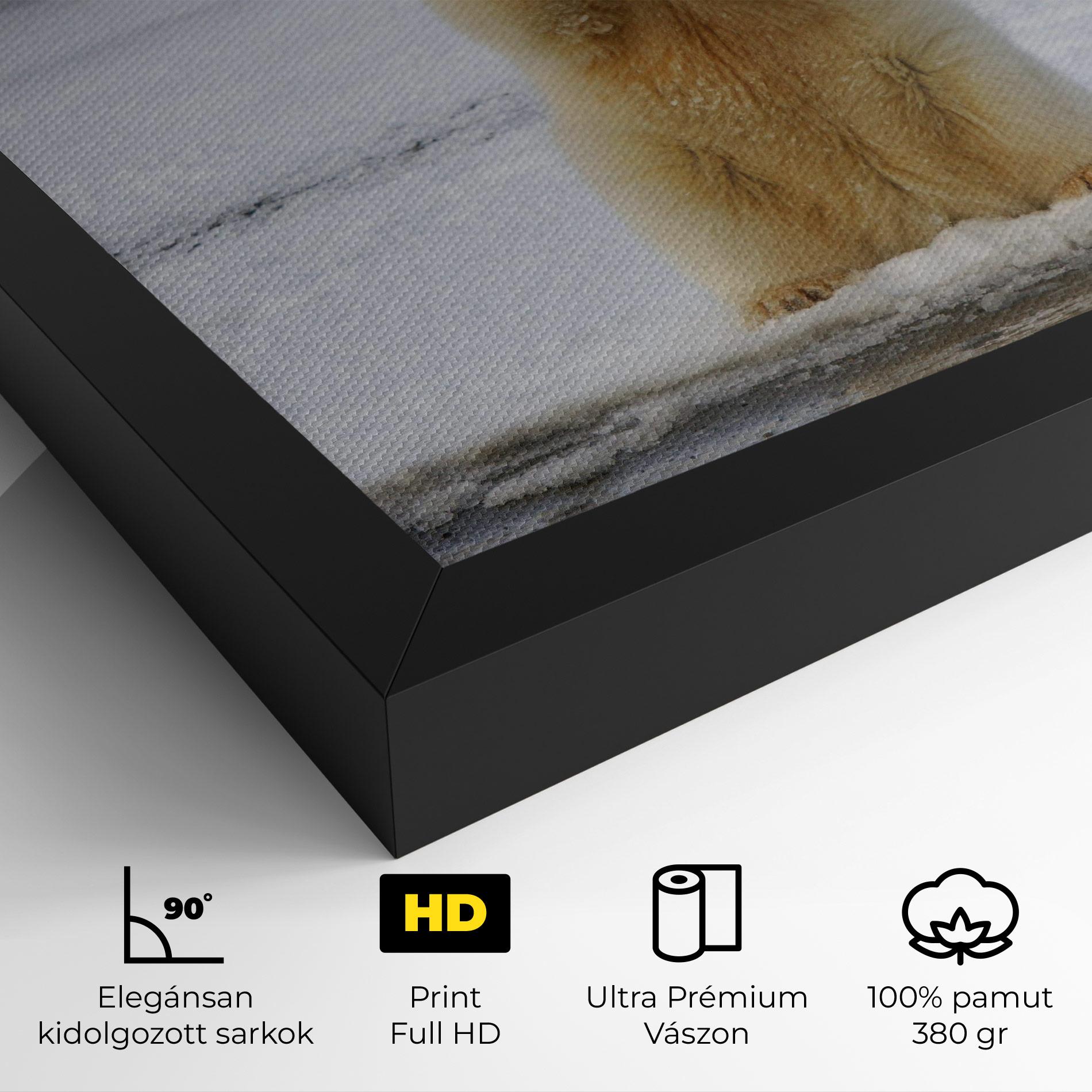 Vászonkép Icebear Praying mockup 4
