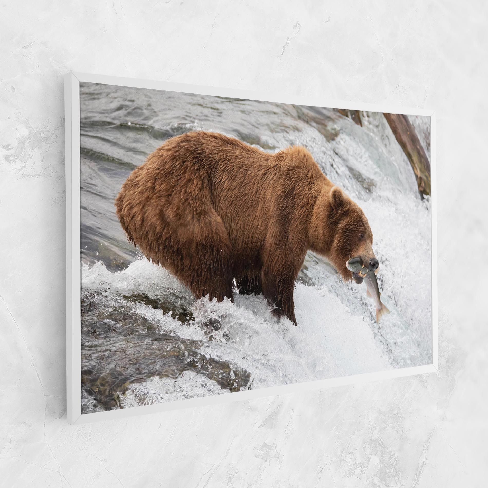 Bear Hunting mockup 1