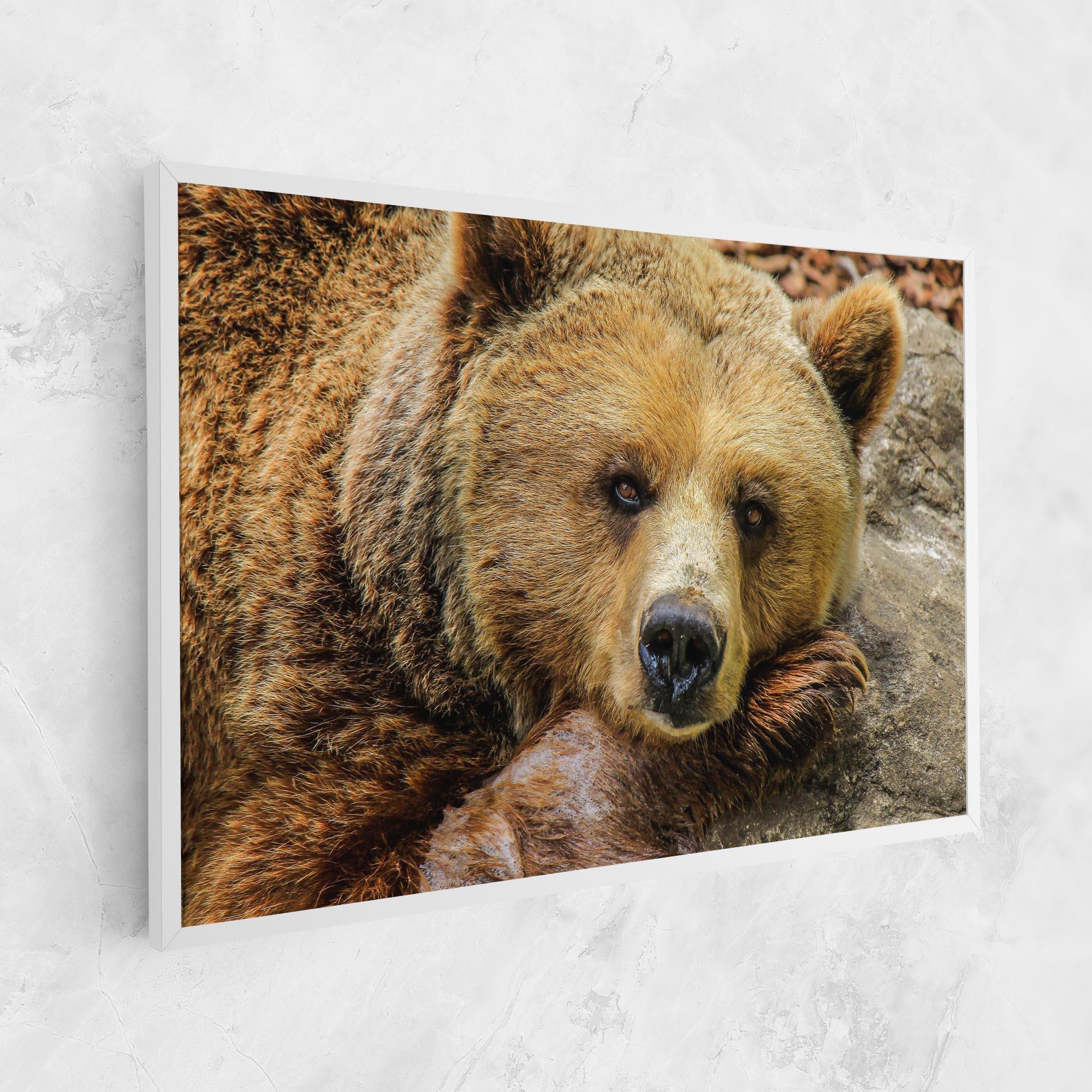Vászonkép Bear mockup 1