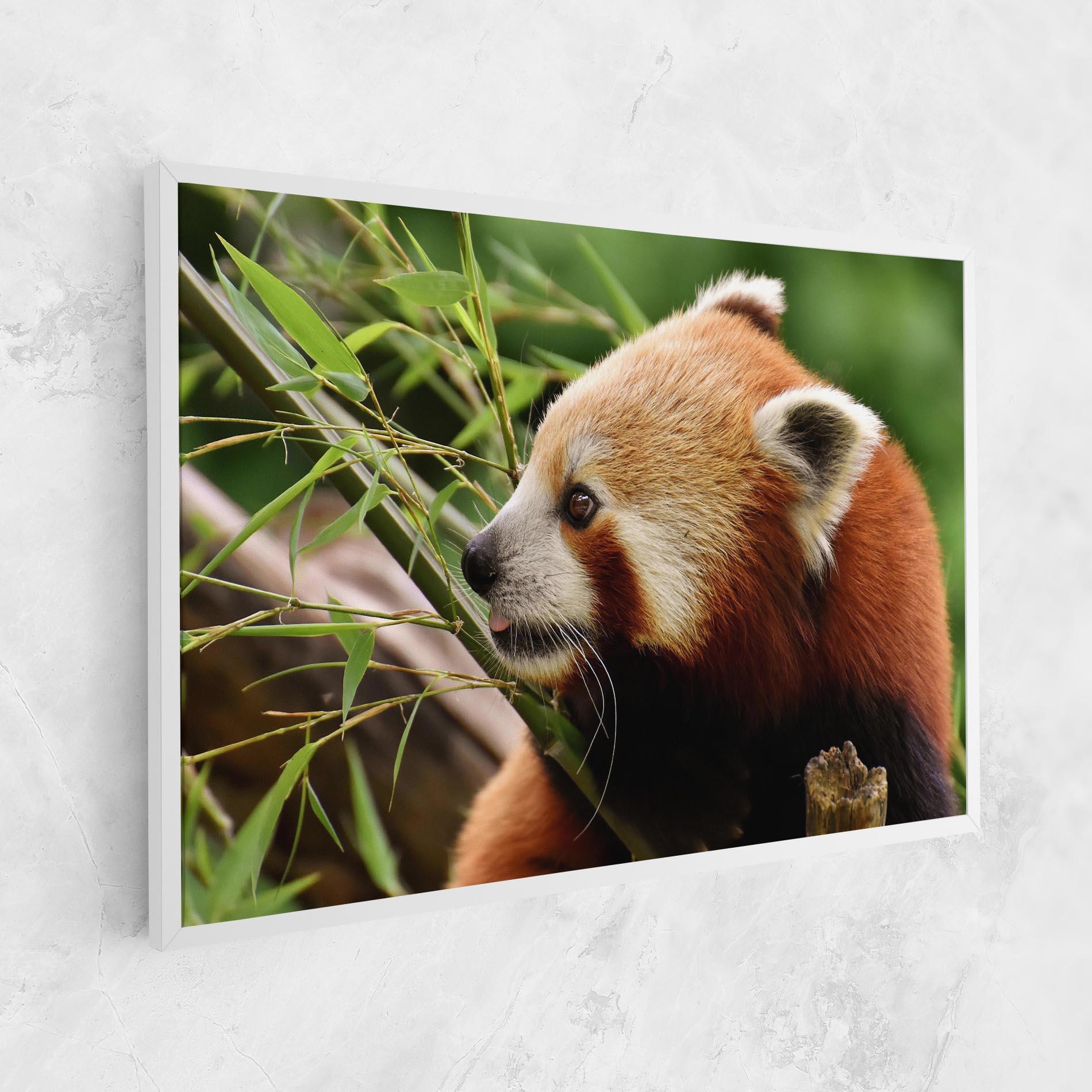 Vászonkép Cute Red Panda mockup 1