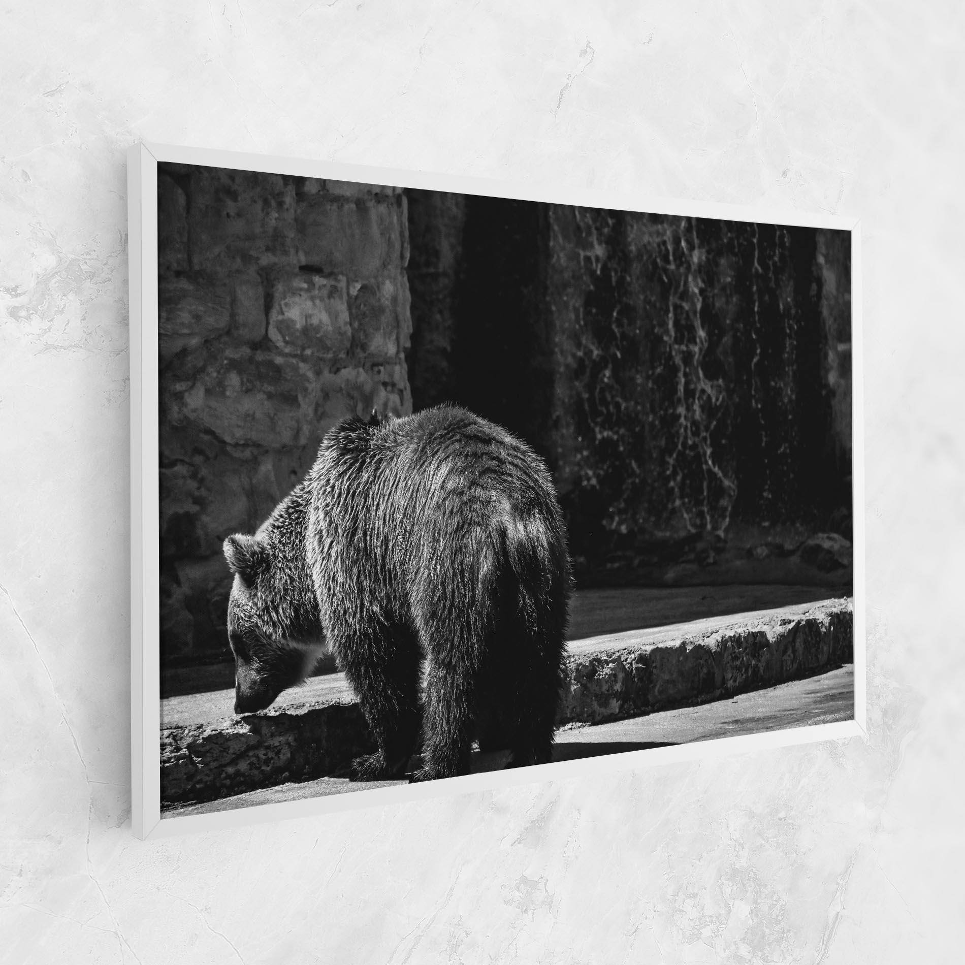 Vászonkép Grey Bear mockup 1