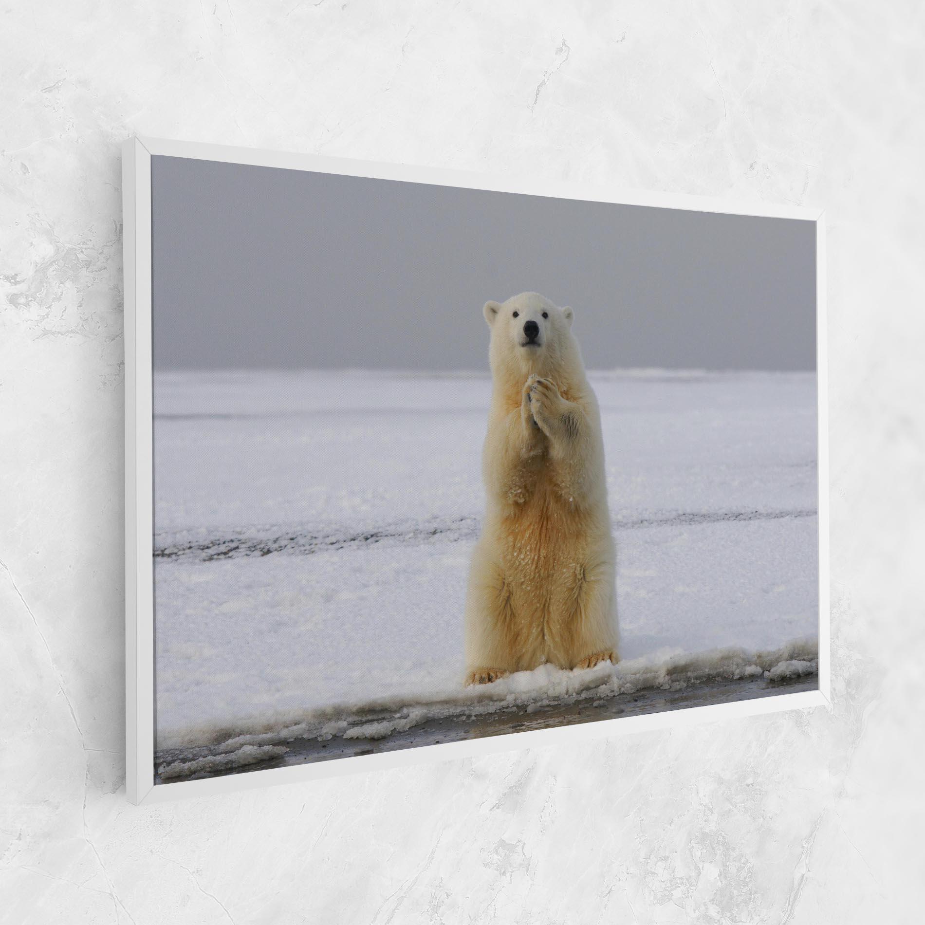 Vászonkép Icebear Praying mockup 1